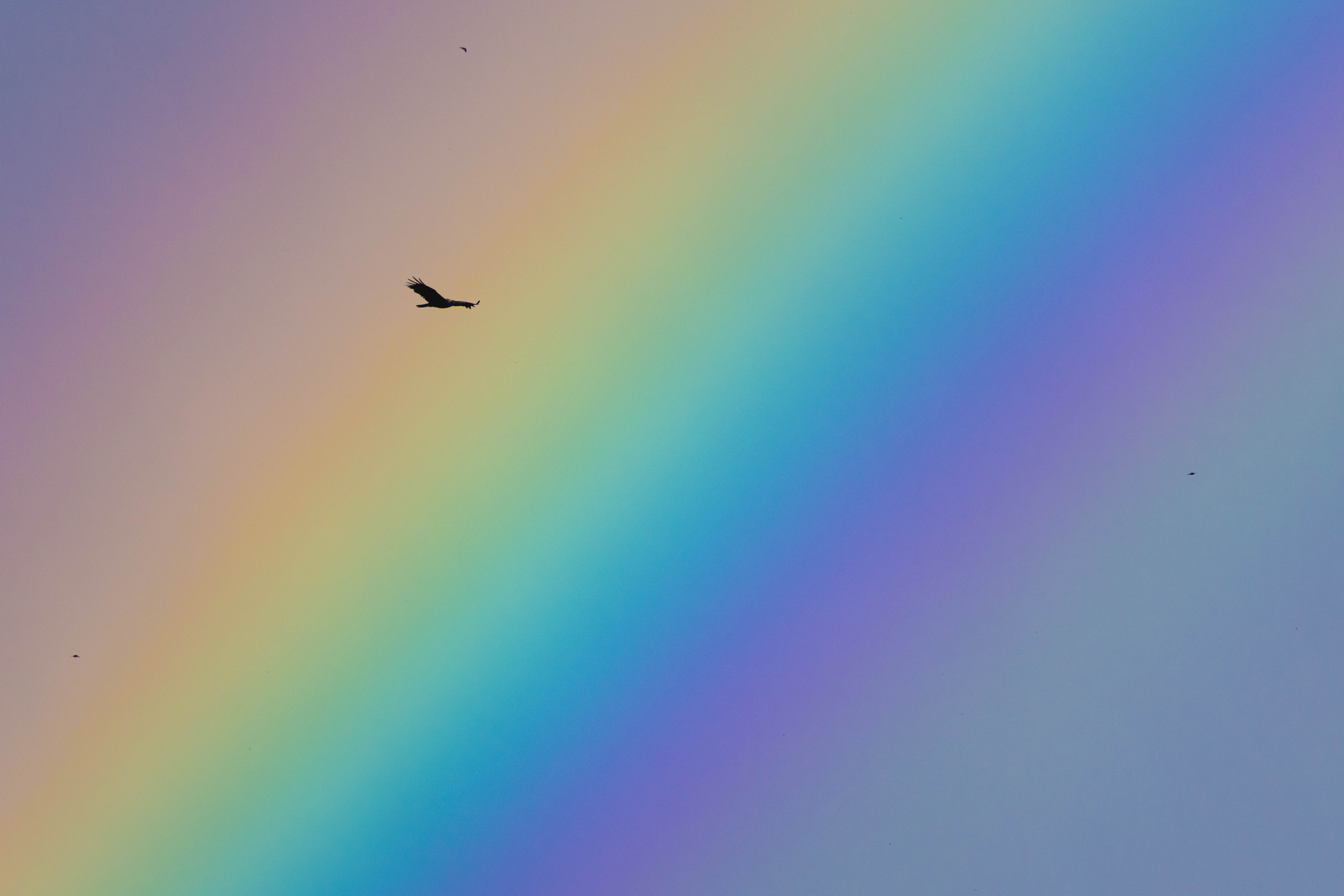 Somewhere over the rainbow - Extremadura FOTO: Ivan Villarejo