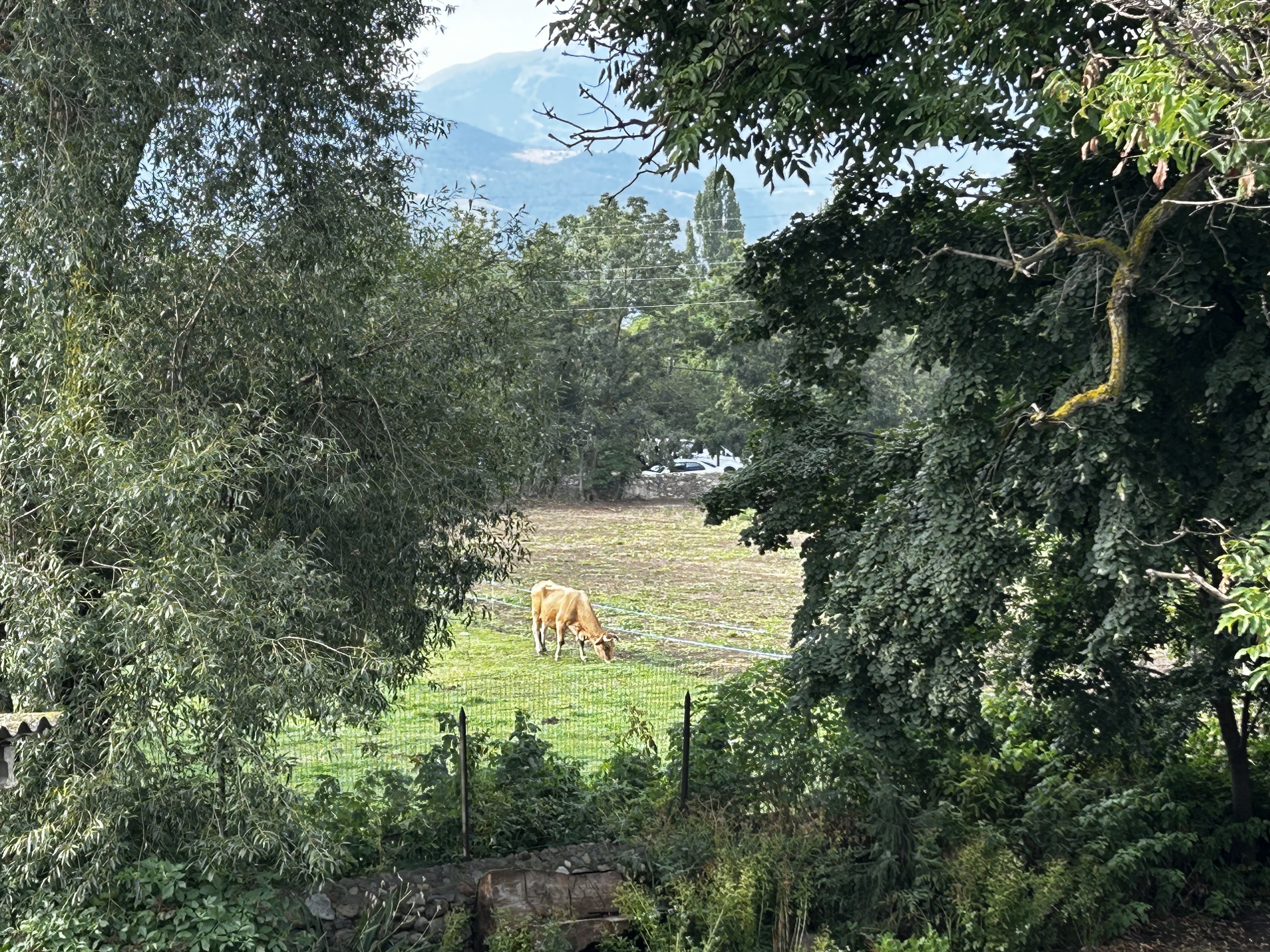 Slow mornings - Puigcerdà FOTO: Sylvia Karman Pons