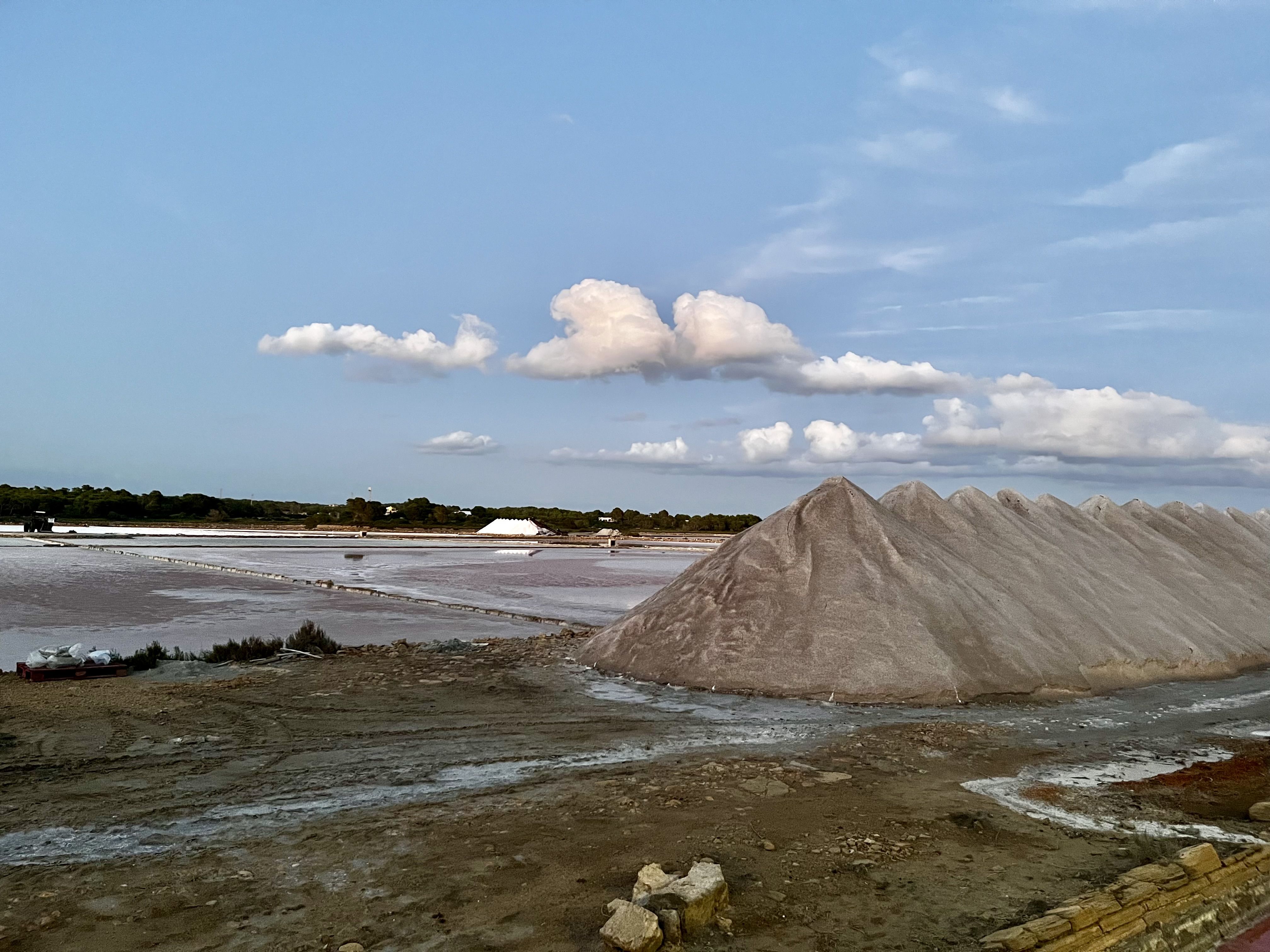 Ses Salines - Colonia Sant Jordi FOTO: Montse Texidó Carbonell