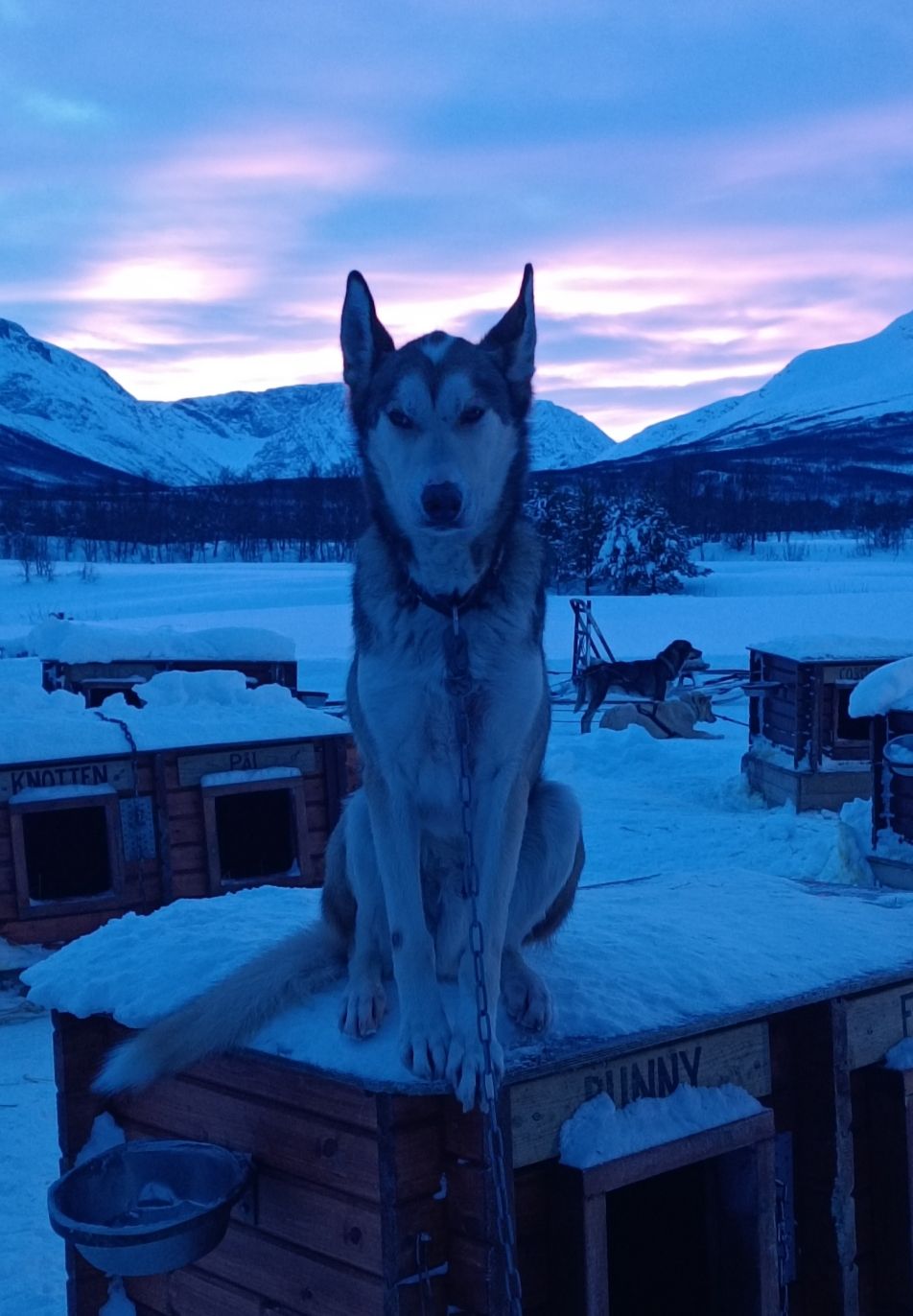 Serenor - Tromso, Noruega FOTO: María del Mar Gil Chamizo 