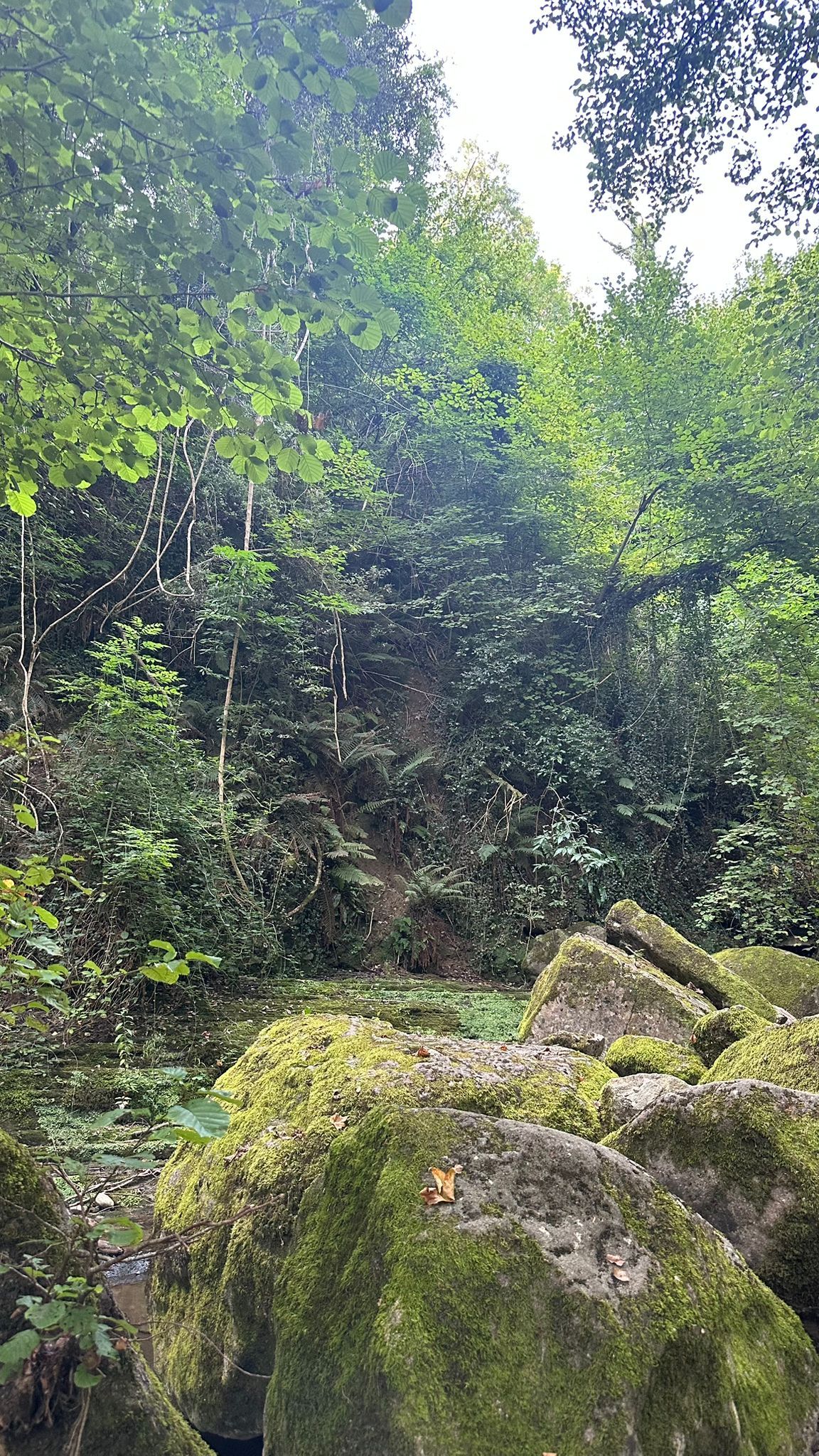 Sense anar més lluny - La Garrotxa FOTO: Anna Salabert