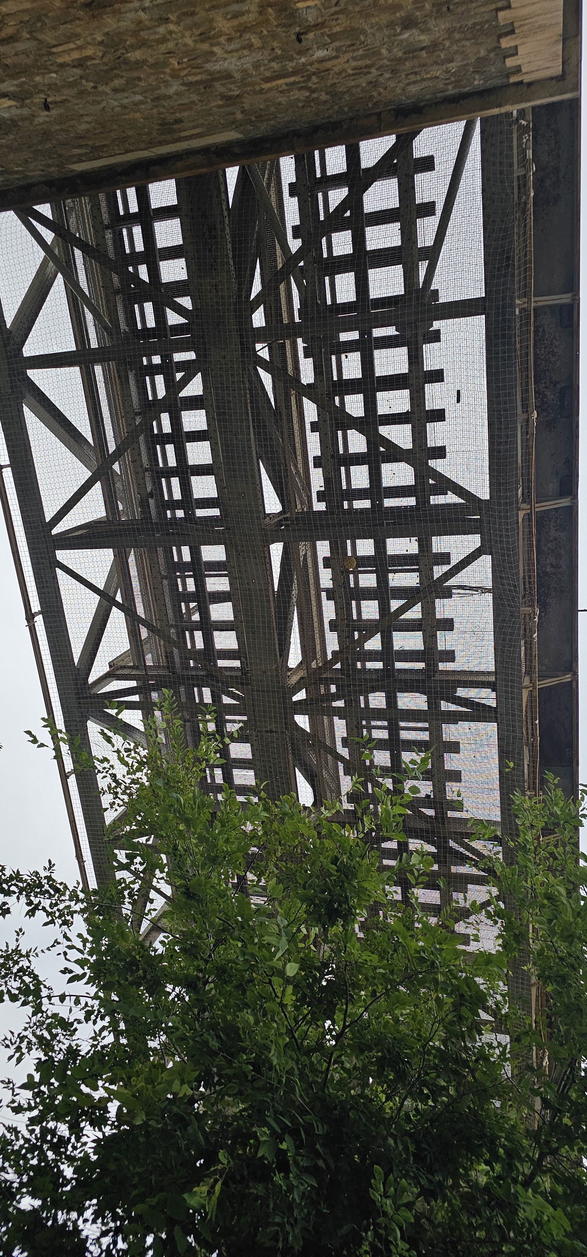 Sensa quasi vida - Culera FOTO: Marta Penalva Bosch