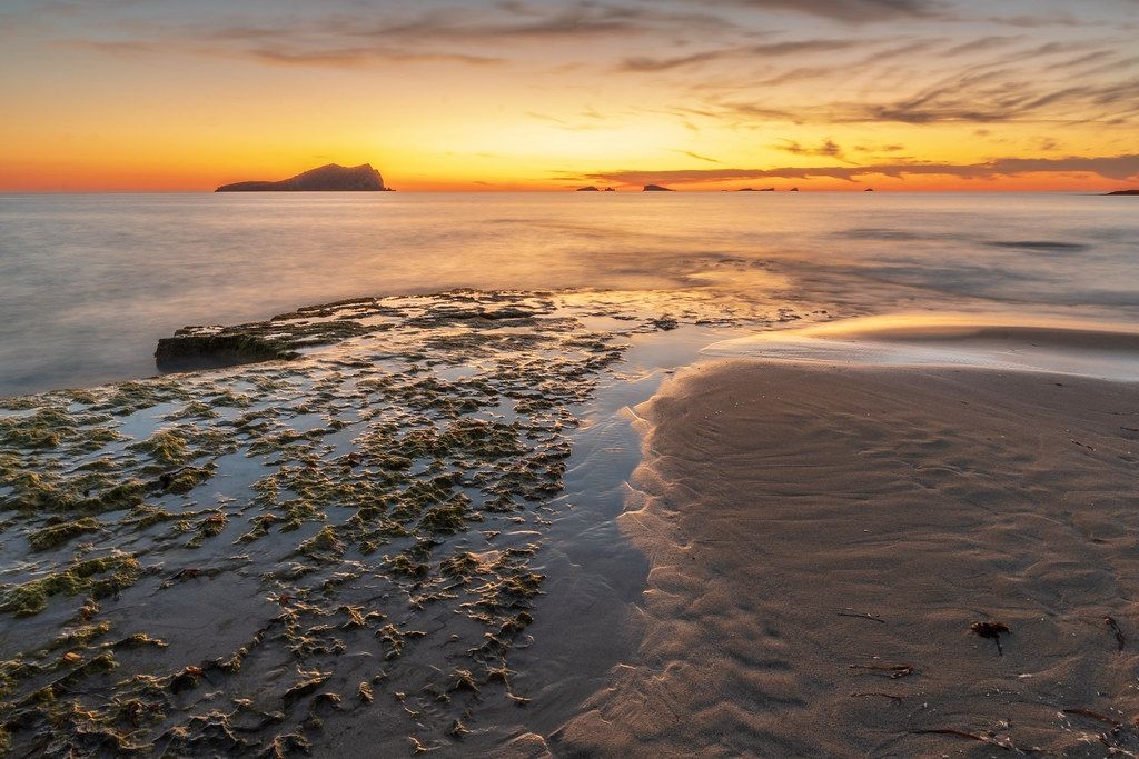 Sempre Cala Compte - Platges del Compte, Eivissa FOTO: Nuria Ferrer Barbany 