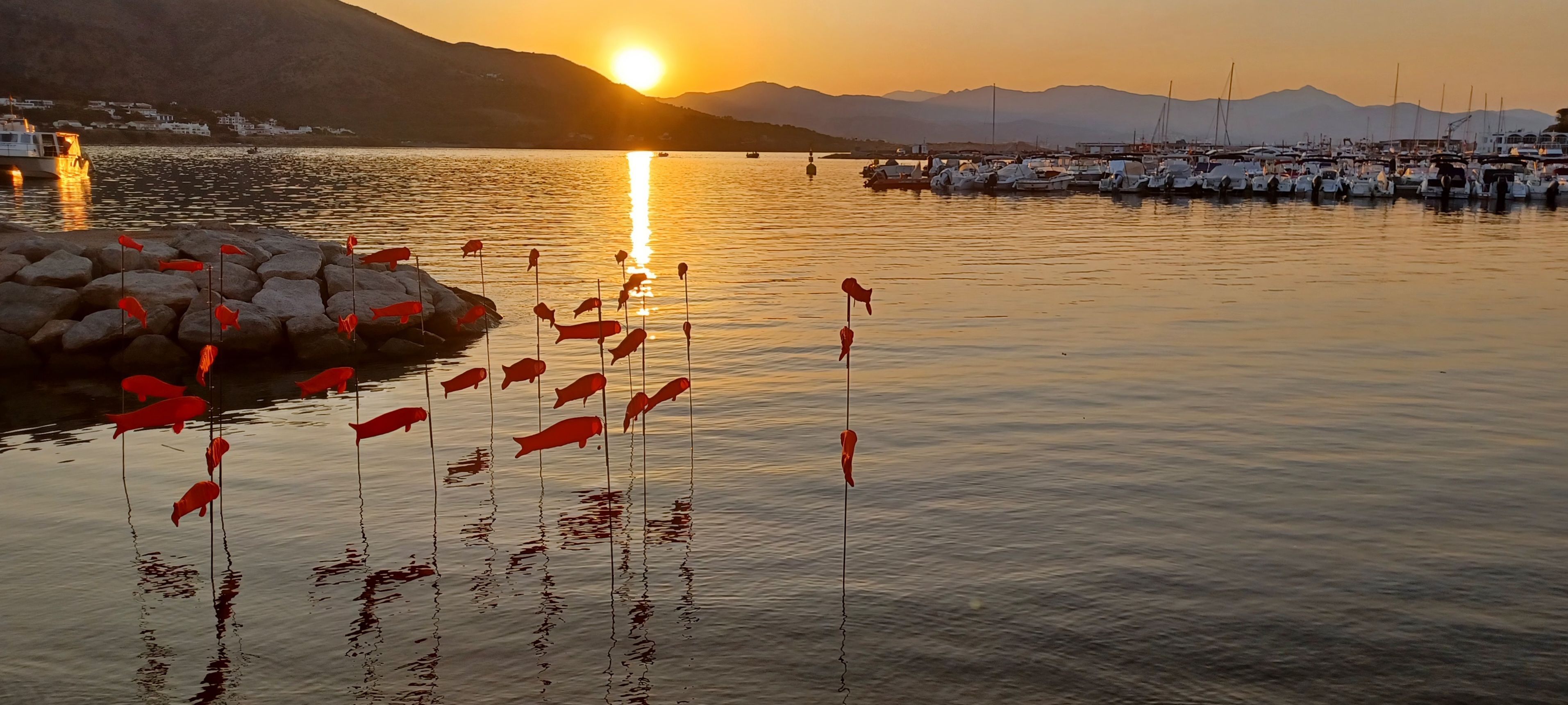 Sembla mentida - Port de la Selva FOTO: Pepita Colet Torres