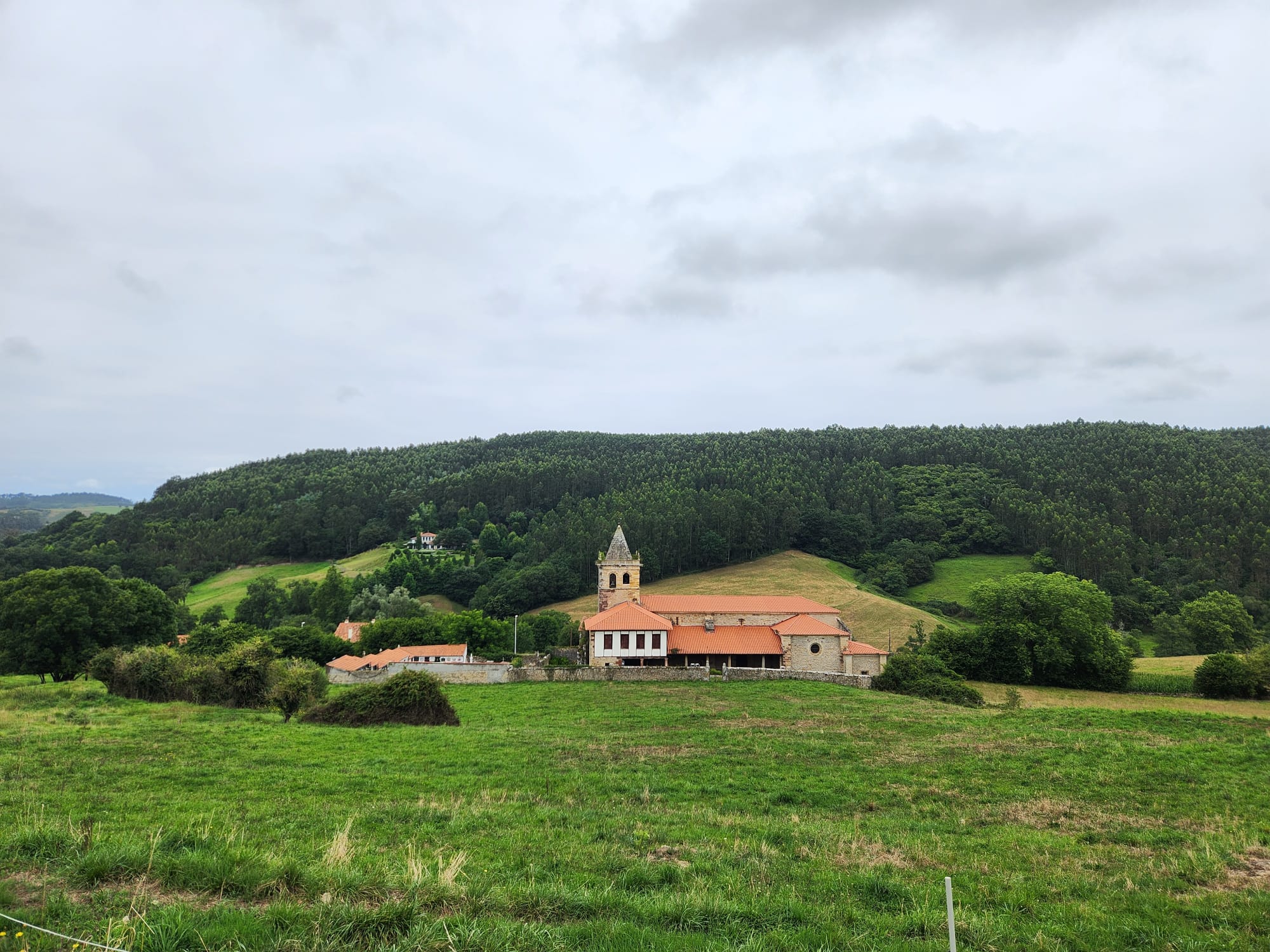 Verde - Ruiseñada, Cantàbria FOTO: Carlos Toda Plaza