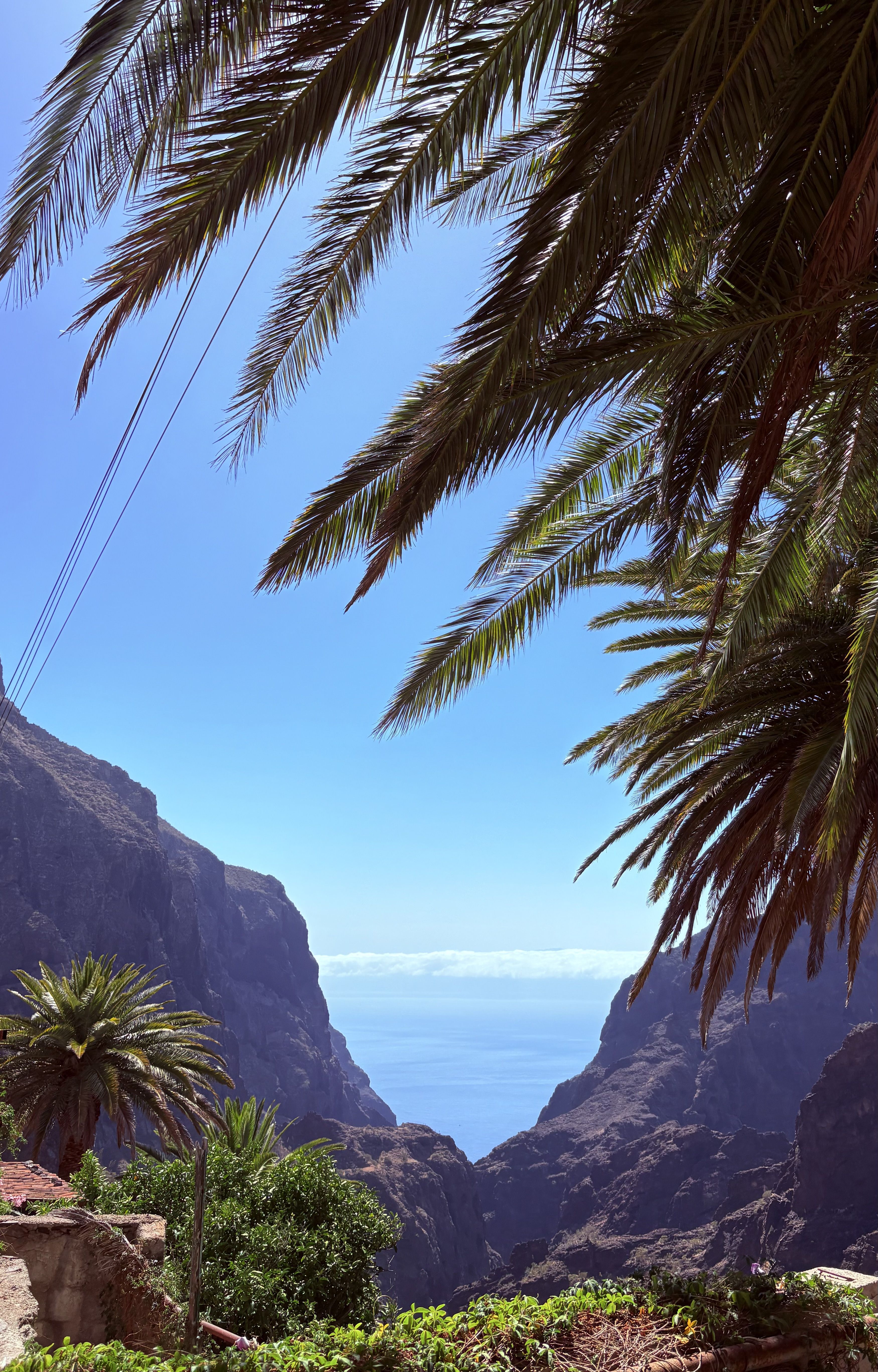 Un indret màgic - Tenerife FOTO: Chiara Marsiglia Pastor