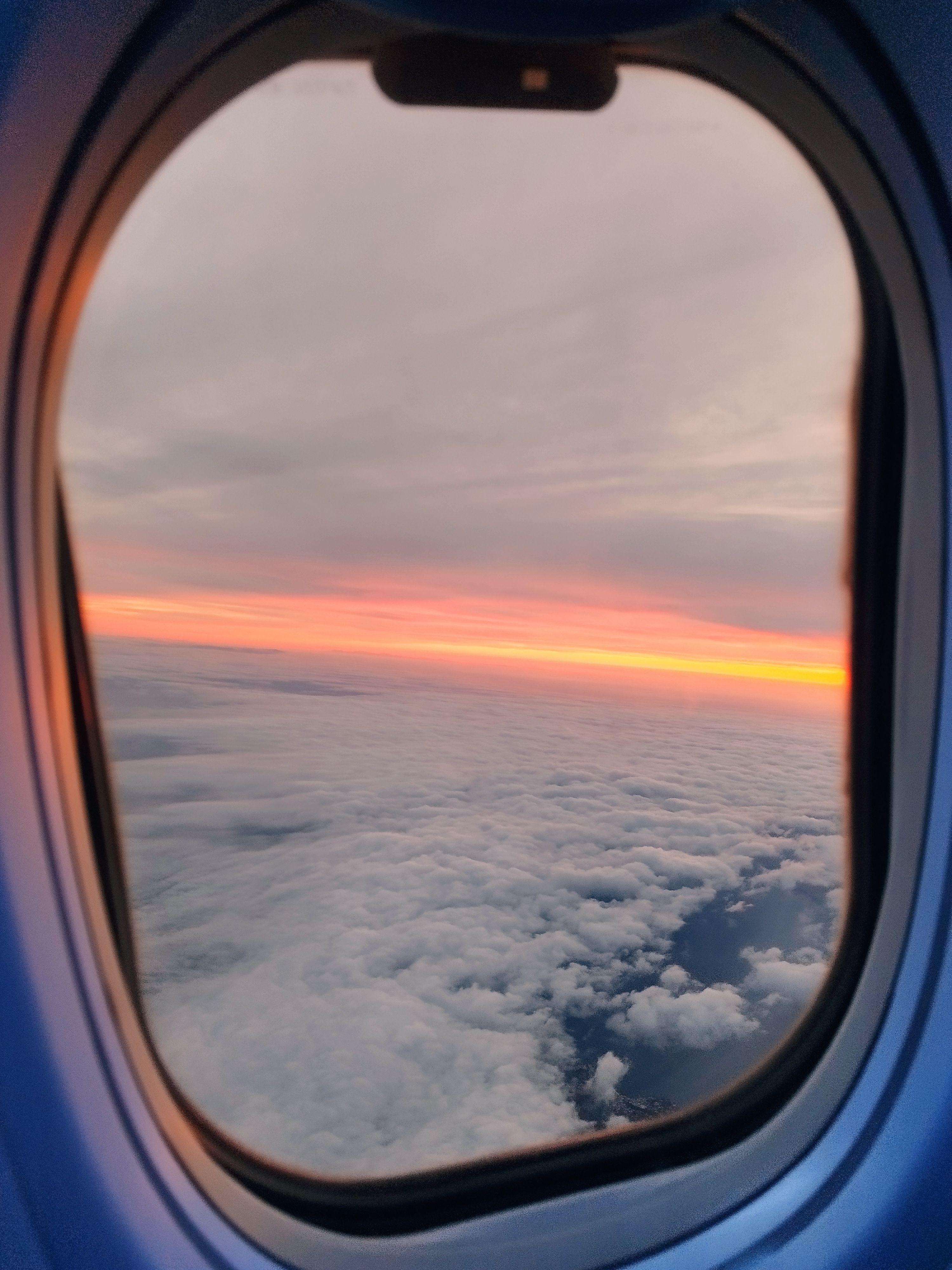 Un vol espectacular! - Mar Mediterrani FOTO: Maria Soler Planas 