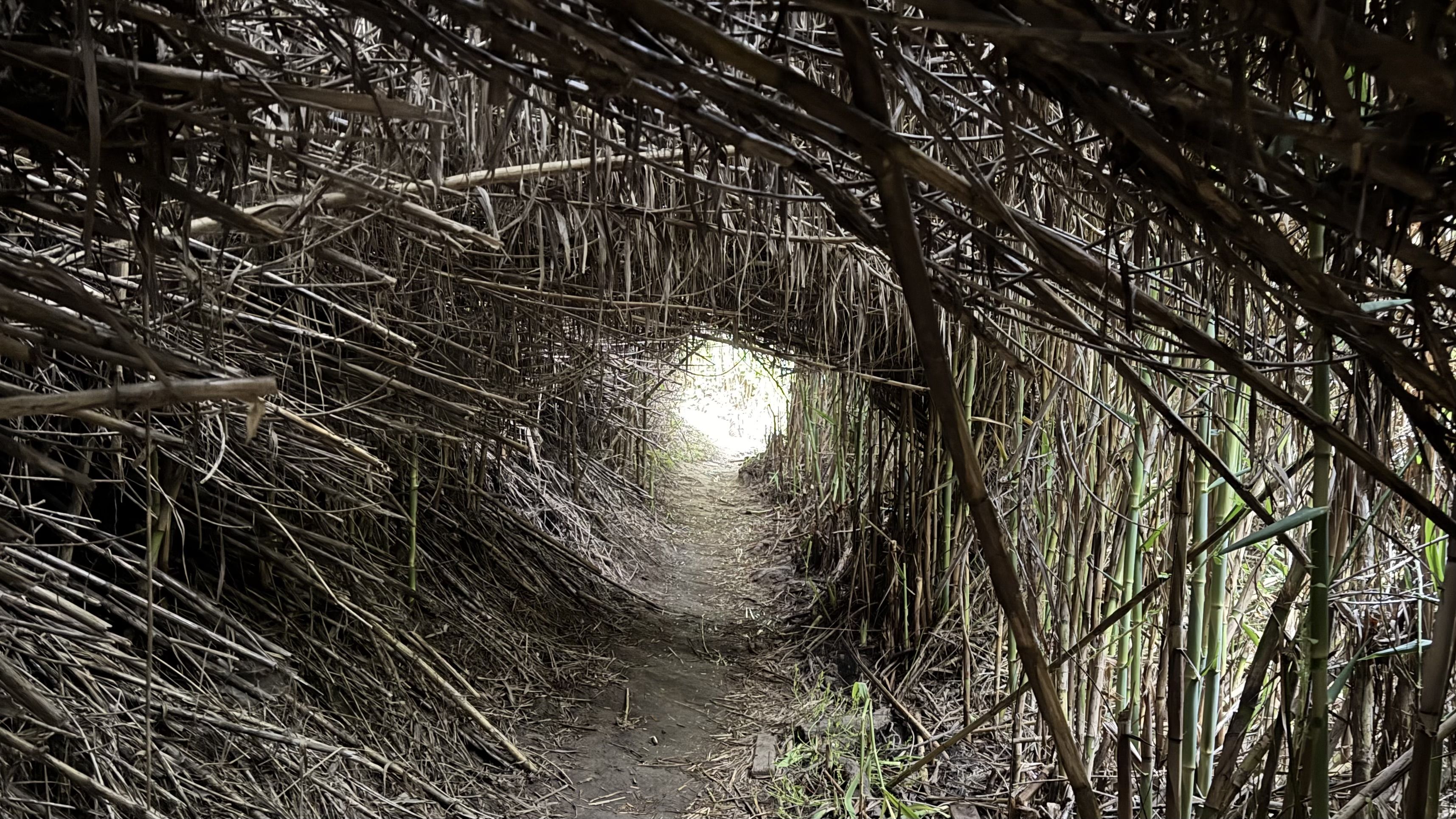 Ulla de la natura - São Teotónio FOTO: Ricard Perez 