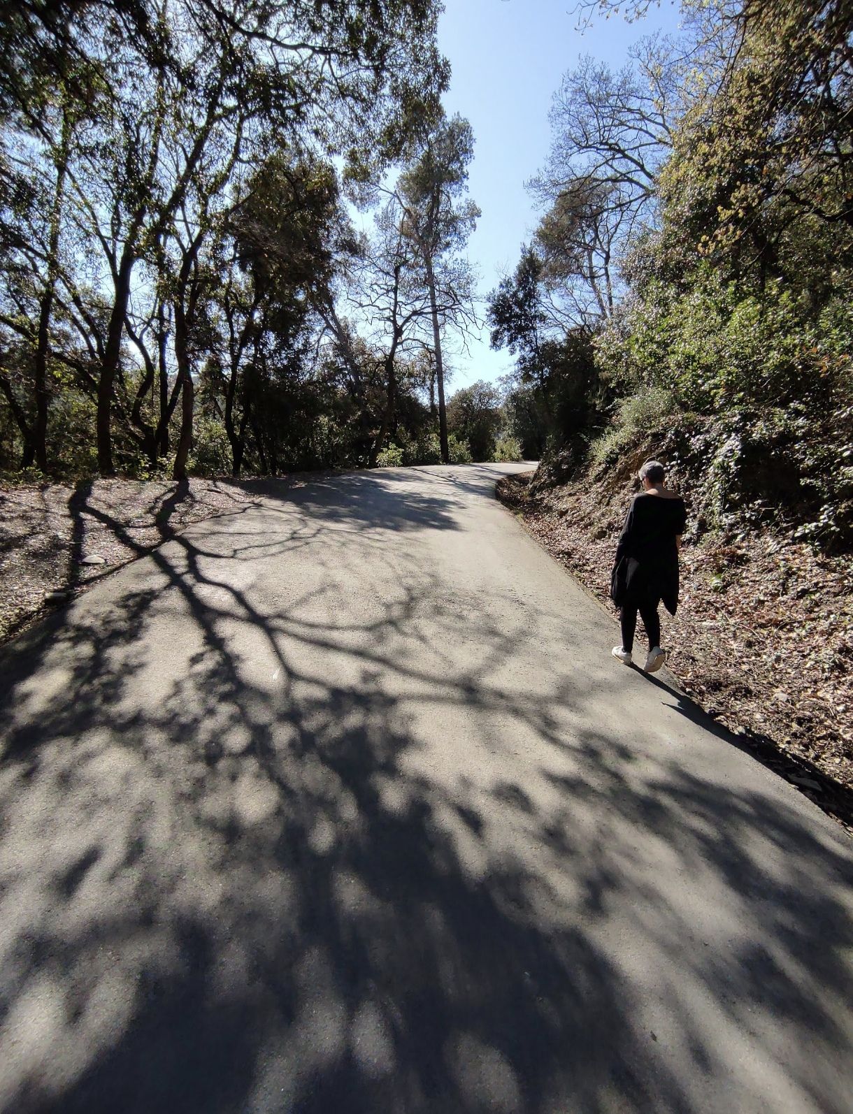 Tranquil·litat - Collserola FOTO: Luis Cendón Torees