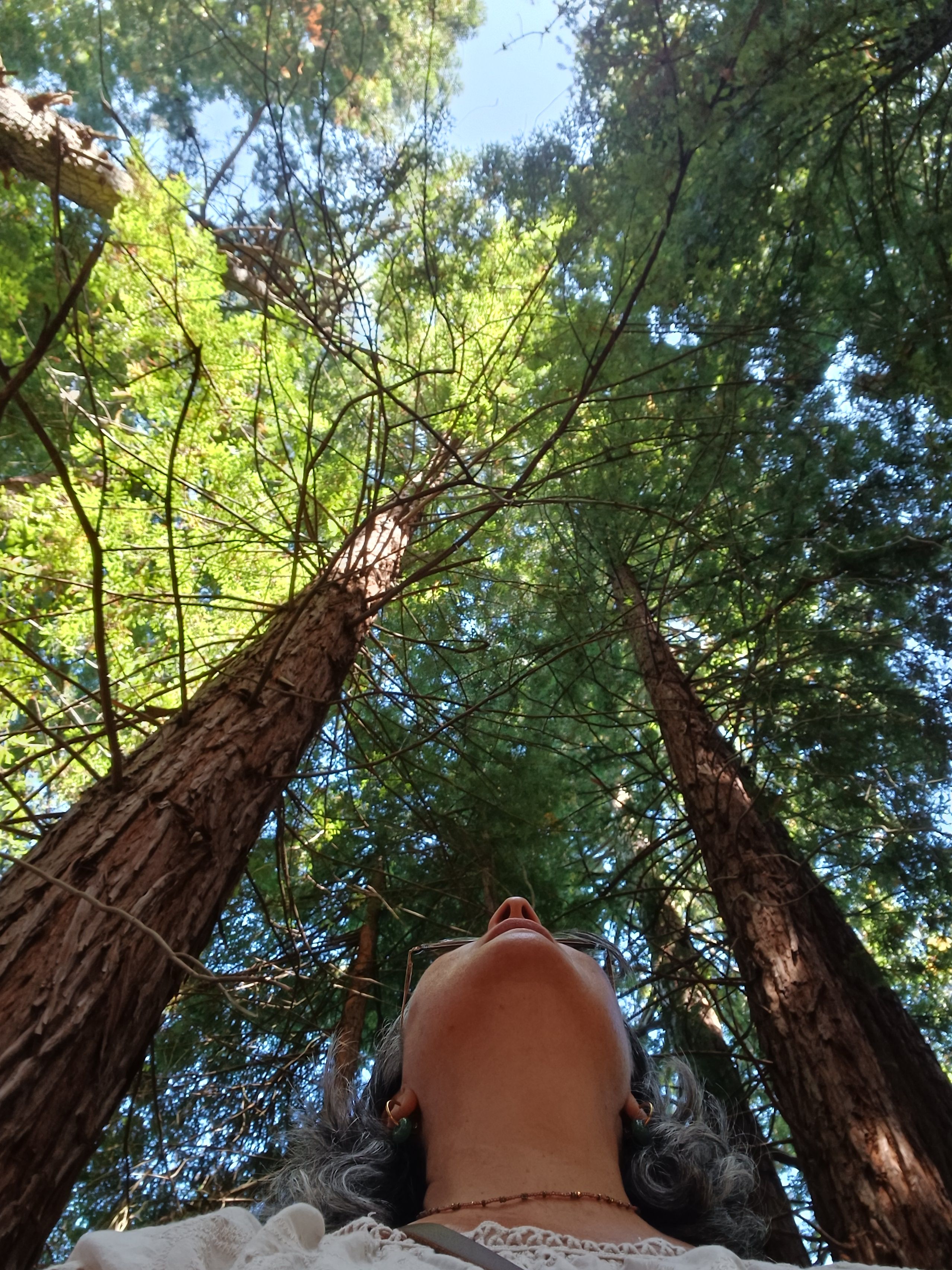 Tranquil·litat - Cantàbria FOTO: Carme Nicolas Ortiz 