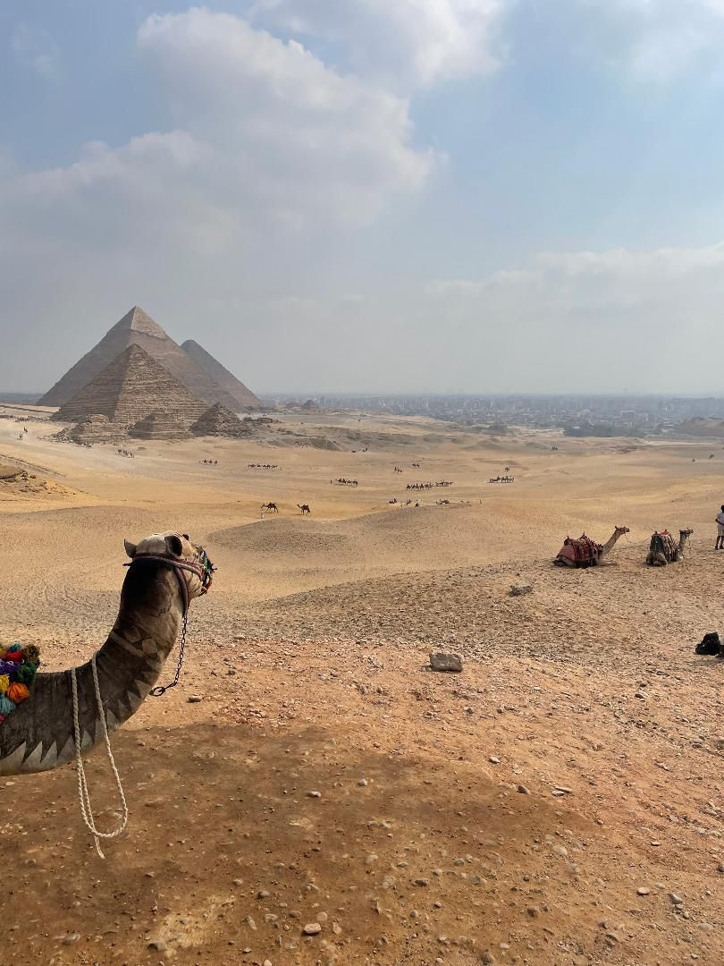 Tot mirant al passat - Egipte FOTO: Mónica de Castro Almirall