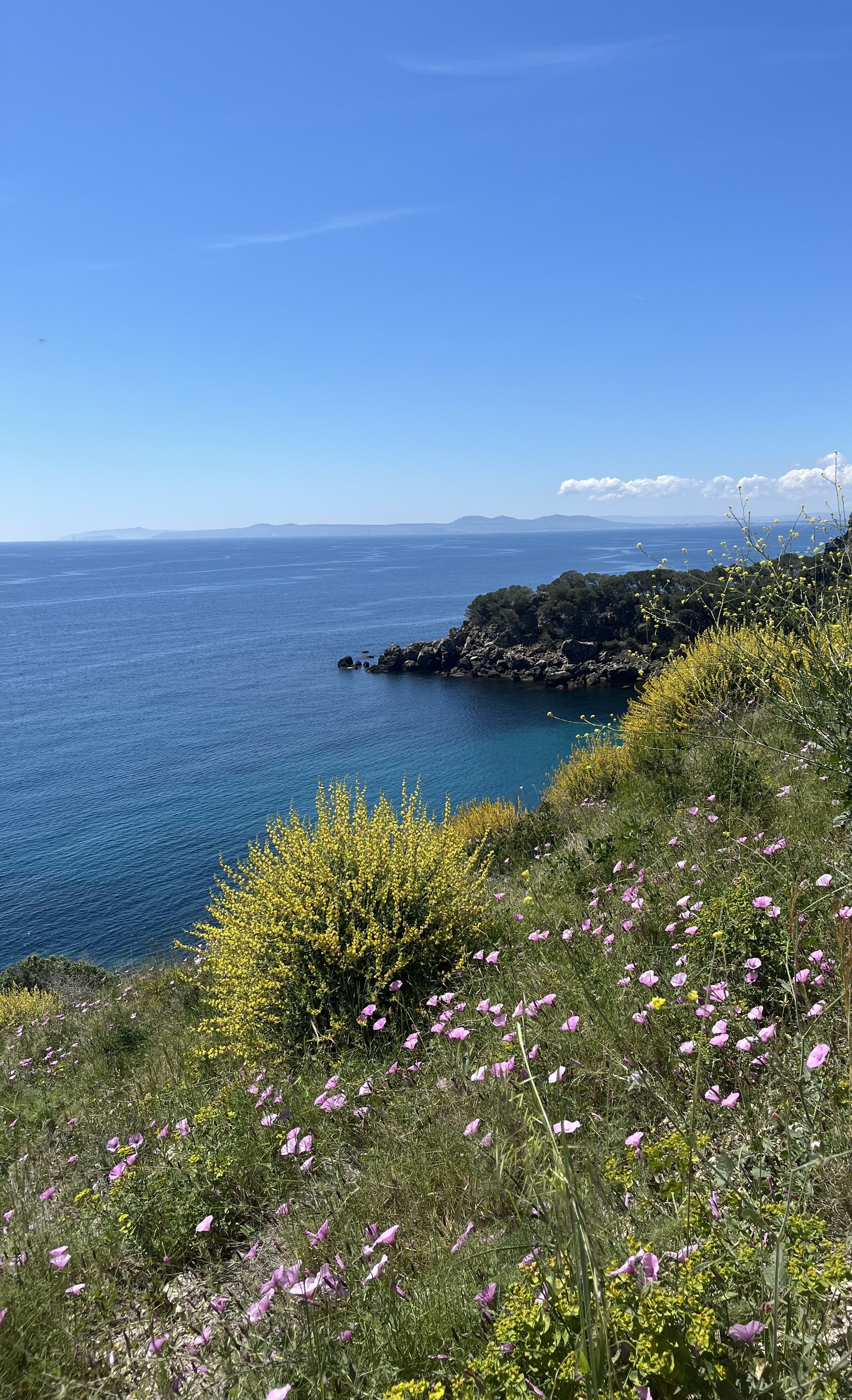 Tocats per la tramontana - Entre Roses i Cadaqués FOTO: Mercè Baldi Coll
