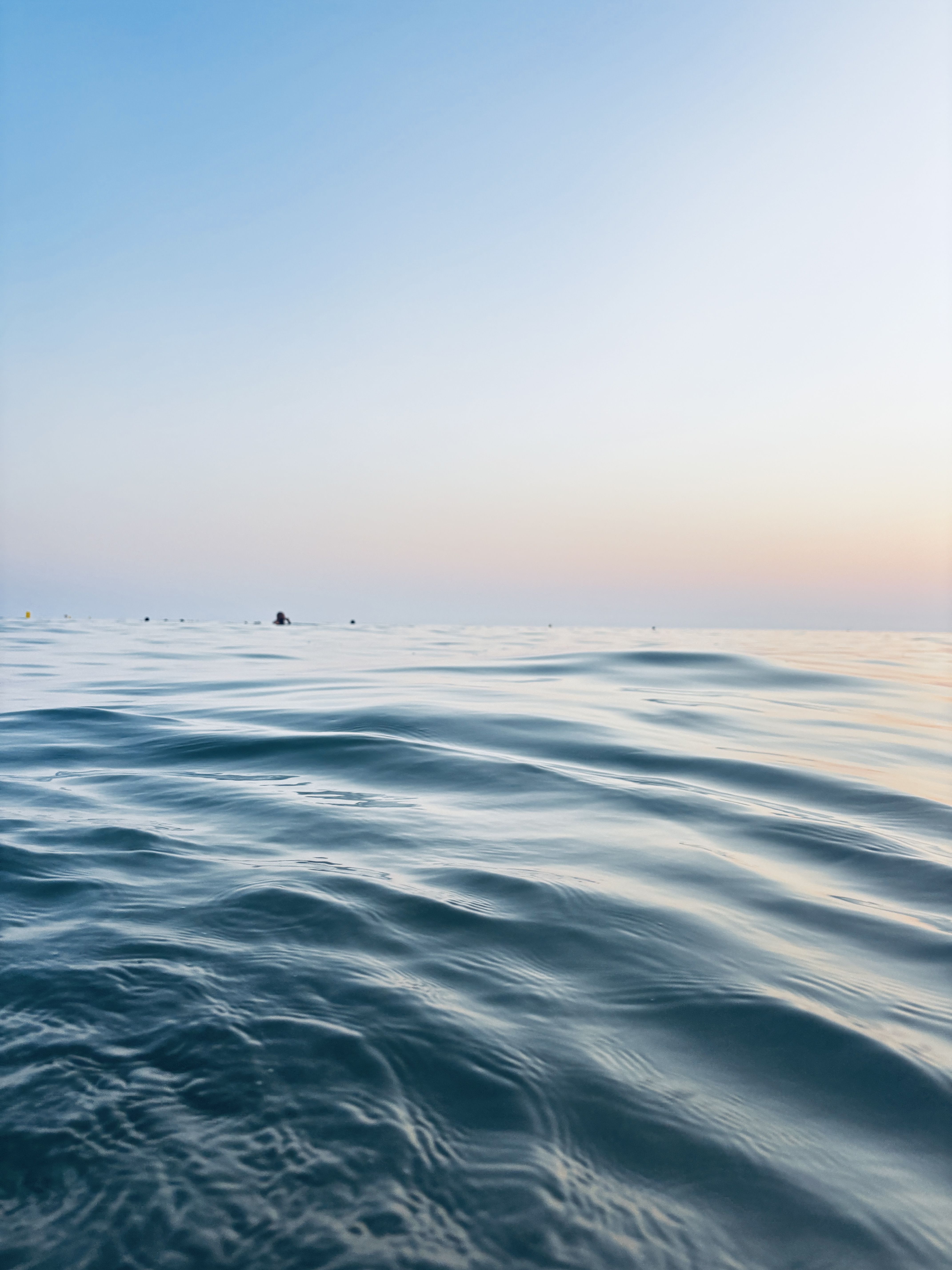 Xiuxiueig blau - Platja Castelldefels FOTO: Alba Olives Serra