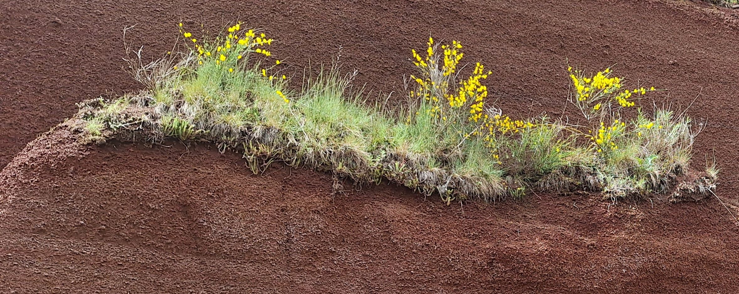 Viure ... on sigui !!! - Sant Cugat FOTO: Nuria Puignero