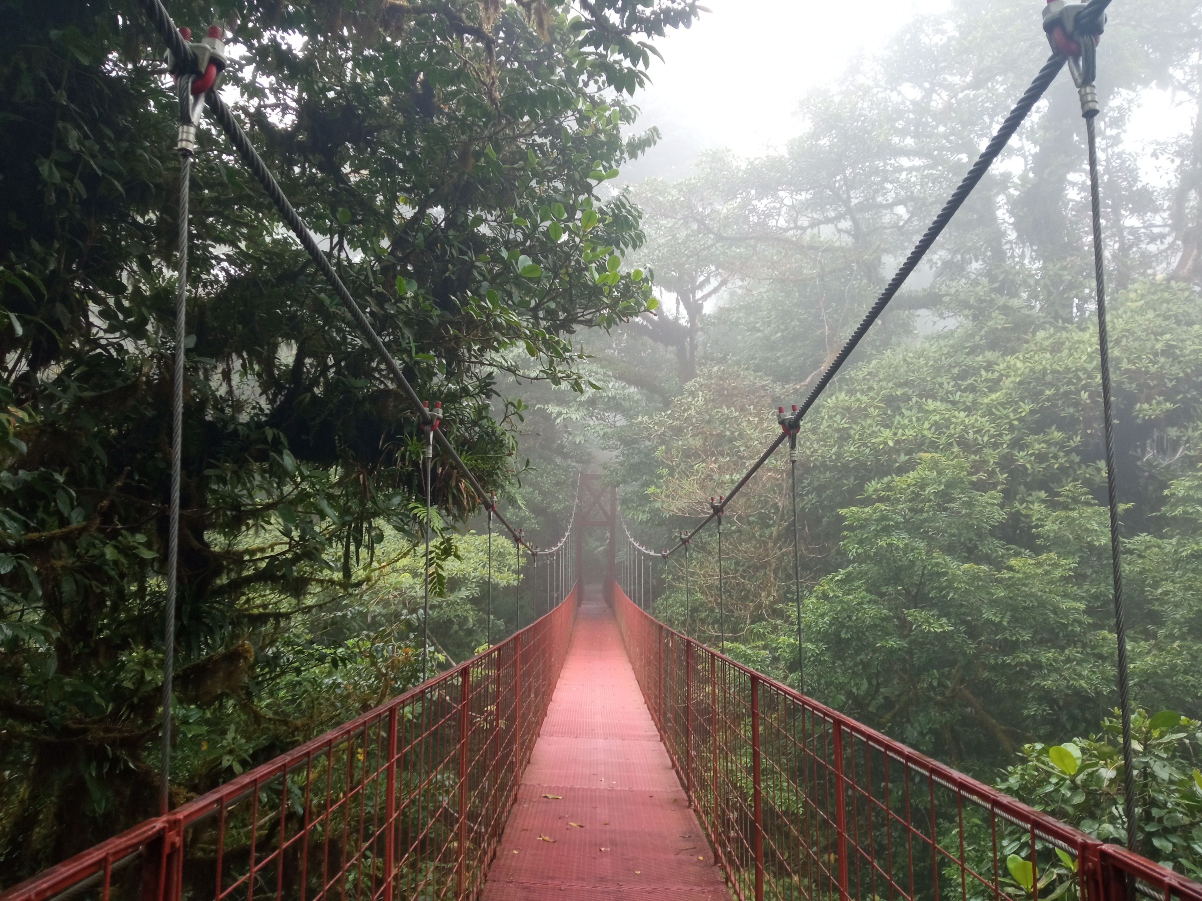 Viatge a l'infinit - Costa Rica FOTO: Óscar Jan 