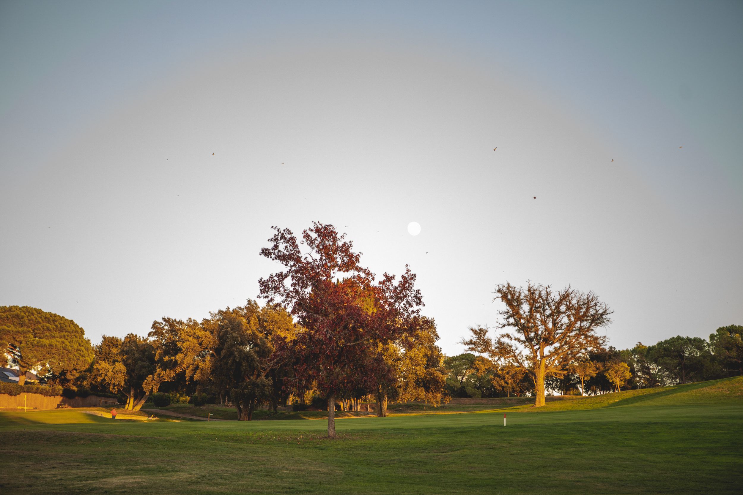 Visita al Golf Sant Cugat prèvia a la presentació del Món Sant Cugat dedicat a l'esport  FOTO: Joana Arribas (TOT Sant Cugat) 