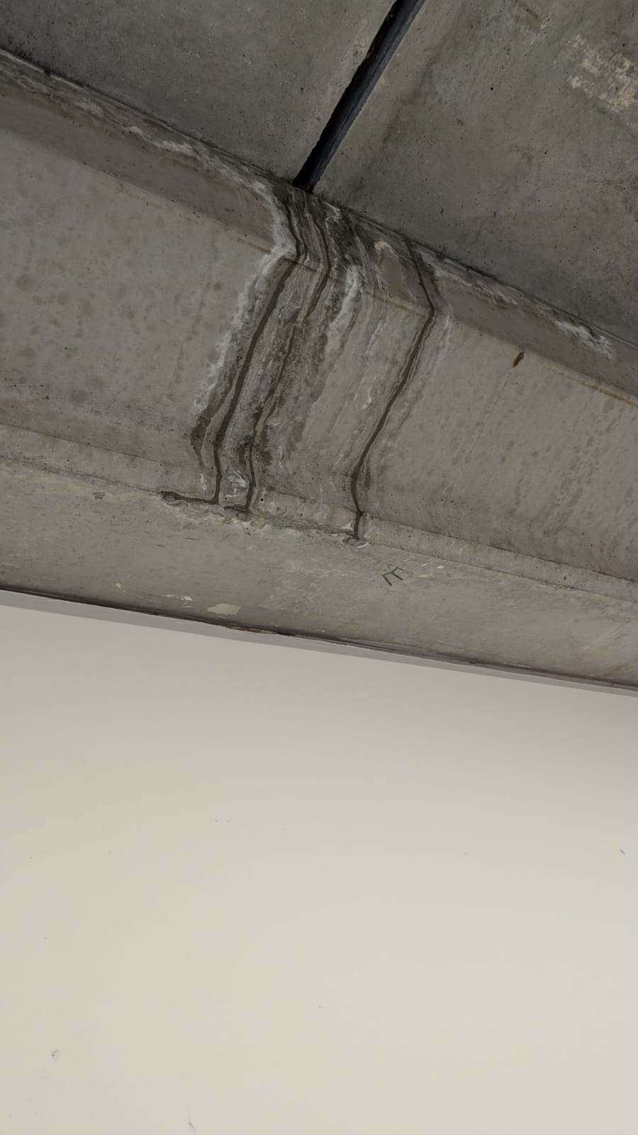 Goteres a l'Escola Gerbert d'Orlach. FOTO: Cedida