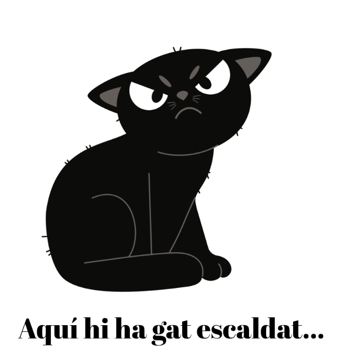 Gat escaldat. FOTO: Cedida