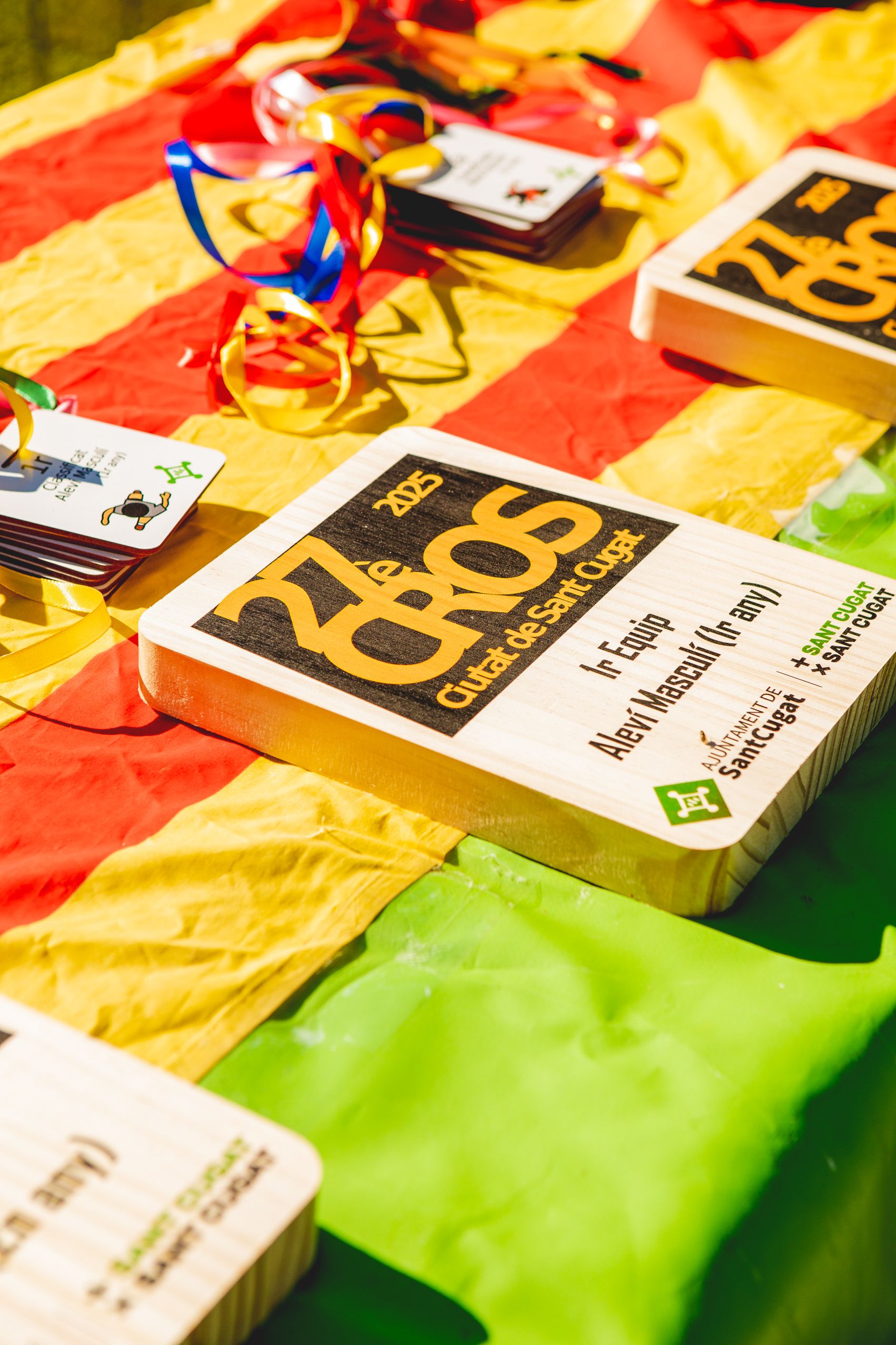 Sant Cugat celebra el 27è Cros Ciutat de Sant Cugat amb uns 4.000 participants FOTO: Joana Arribas (TOT Sant Cugat)