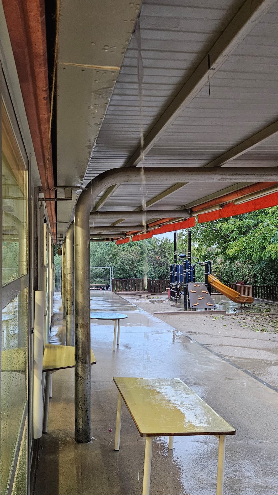 Goteres a l'Escola Gerbert d'Orlach. FOTO: Cedida