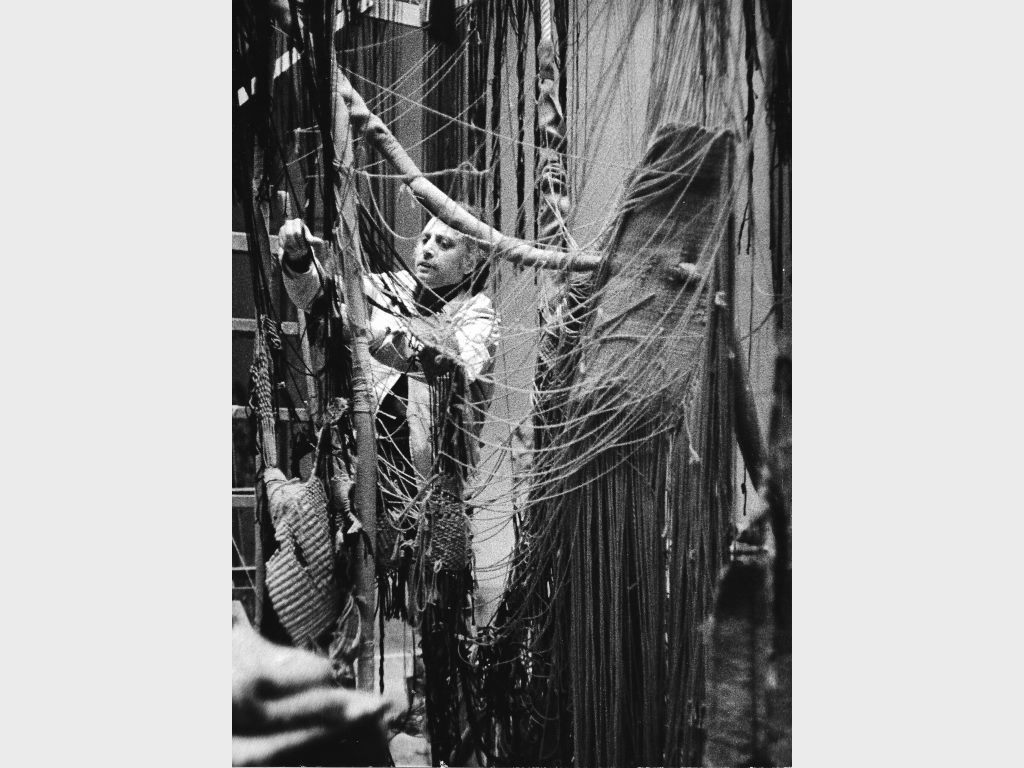 environament grau garriga foto arxiu grau garriga