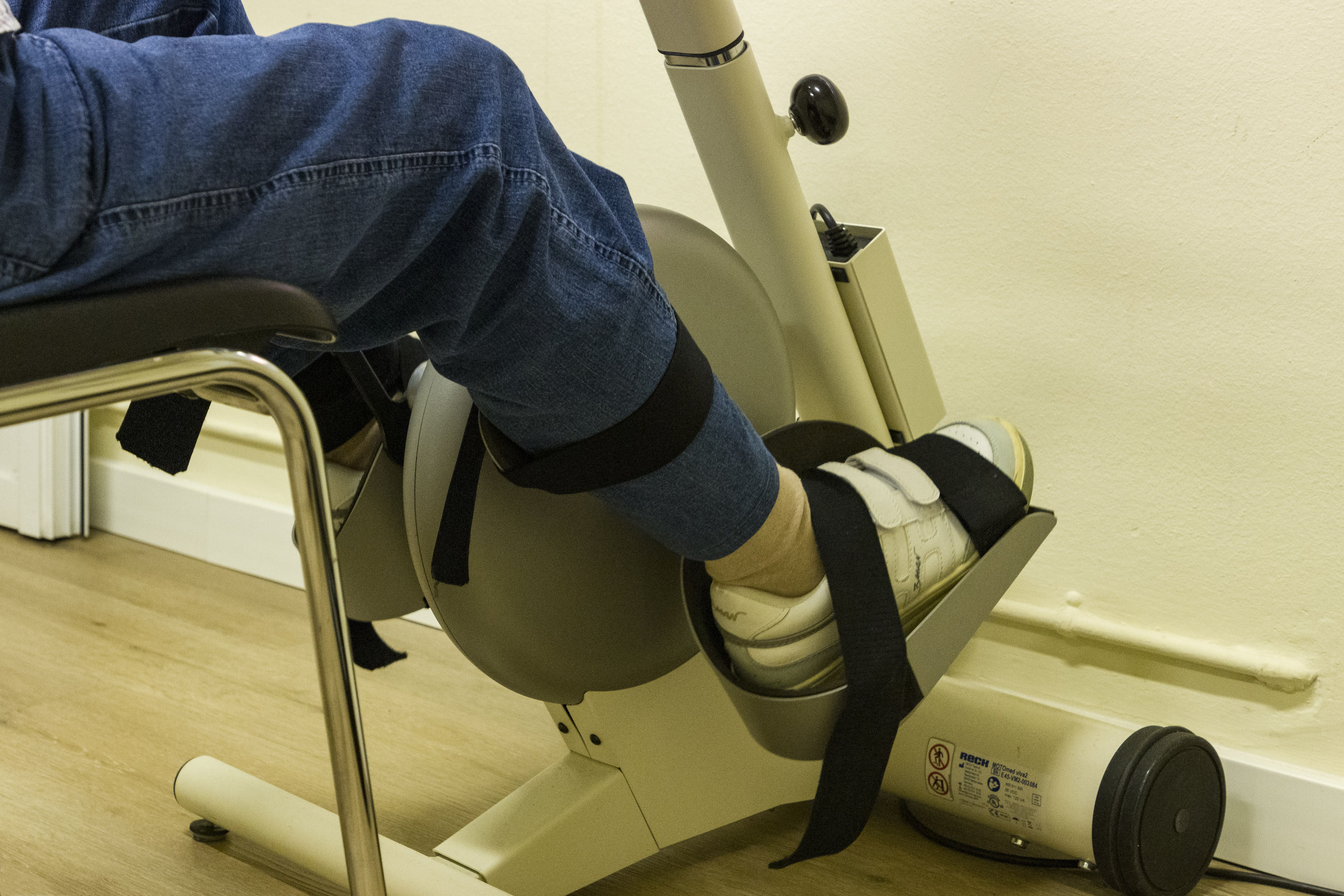  La velocitat de processament de la informació és la capacitat del cervell per captar, entendre i respondre a estímuls de manera ràpida i eficient. FOTO: Cedida