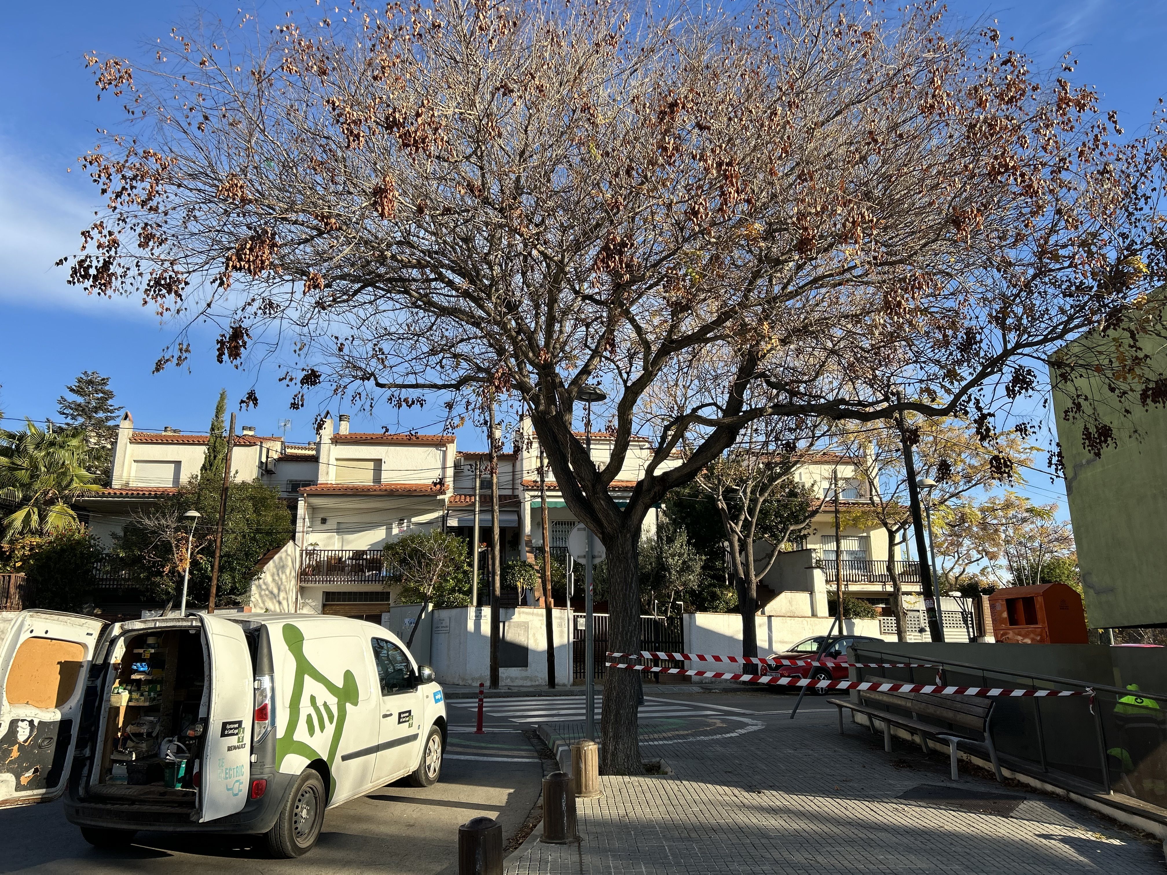 El niu davant de l'escola Collserola. FOTO: TOT Sant Cugat