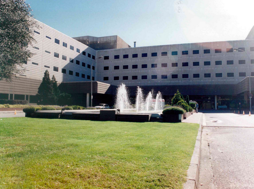 Antiga font ornamental de l'Hospital General de Catalunya. FOTO: Cedida
