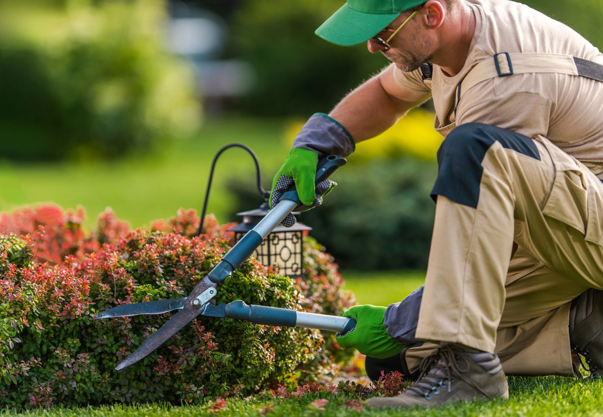 Jardineria és un dels serveis que ofereix Flower Wemar. FOTO: Cedida