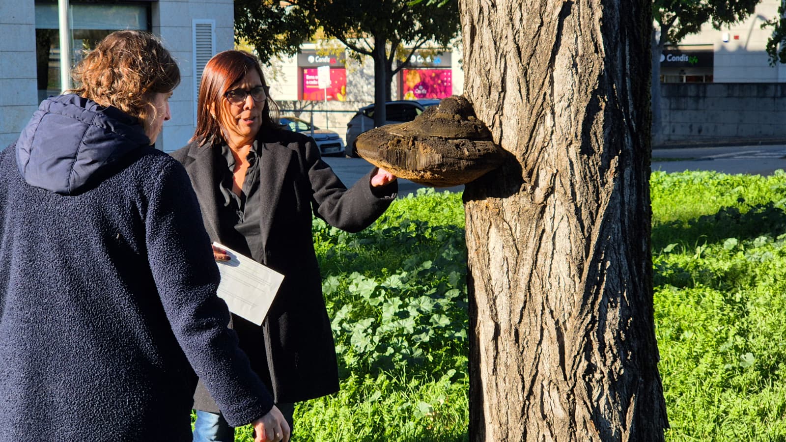 Joana Astals, responsable del servei de Parcs i Jardins de l'Ajuntament (esquerra), i la tinent d'alcaldia de Canvi Climàtic, Cristina Paraira (dreta), amb un pollancre amb fongs a Coll Favà. FOTO: Ajuntament
