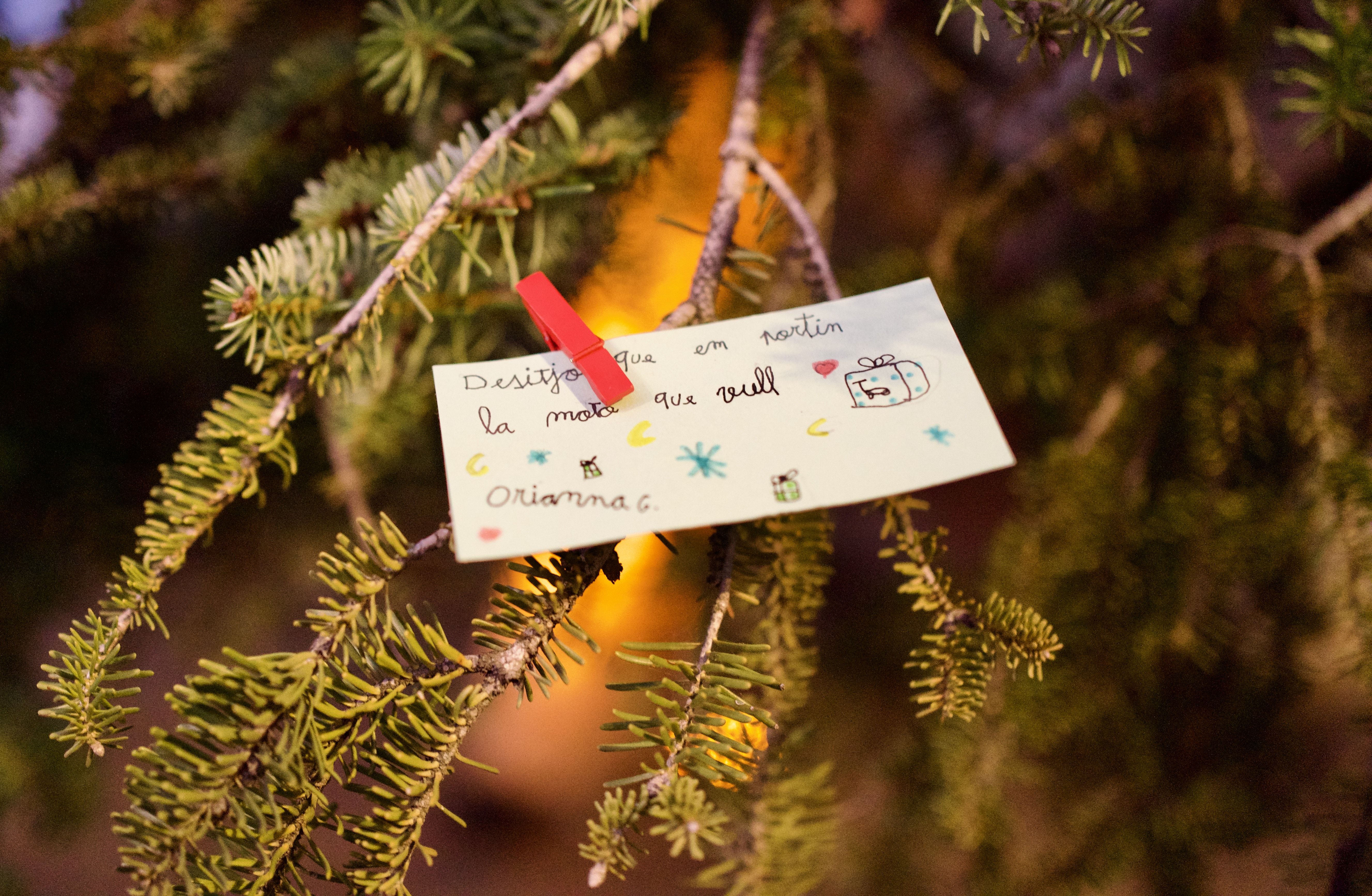 Encesa de llums de Nadal a Valldoreix 2025. FOTO: Mireia Comas (TOT Sant Cugat)