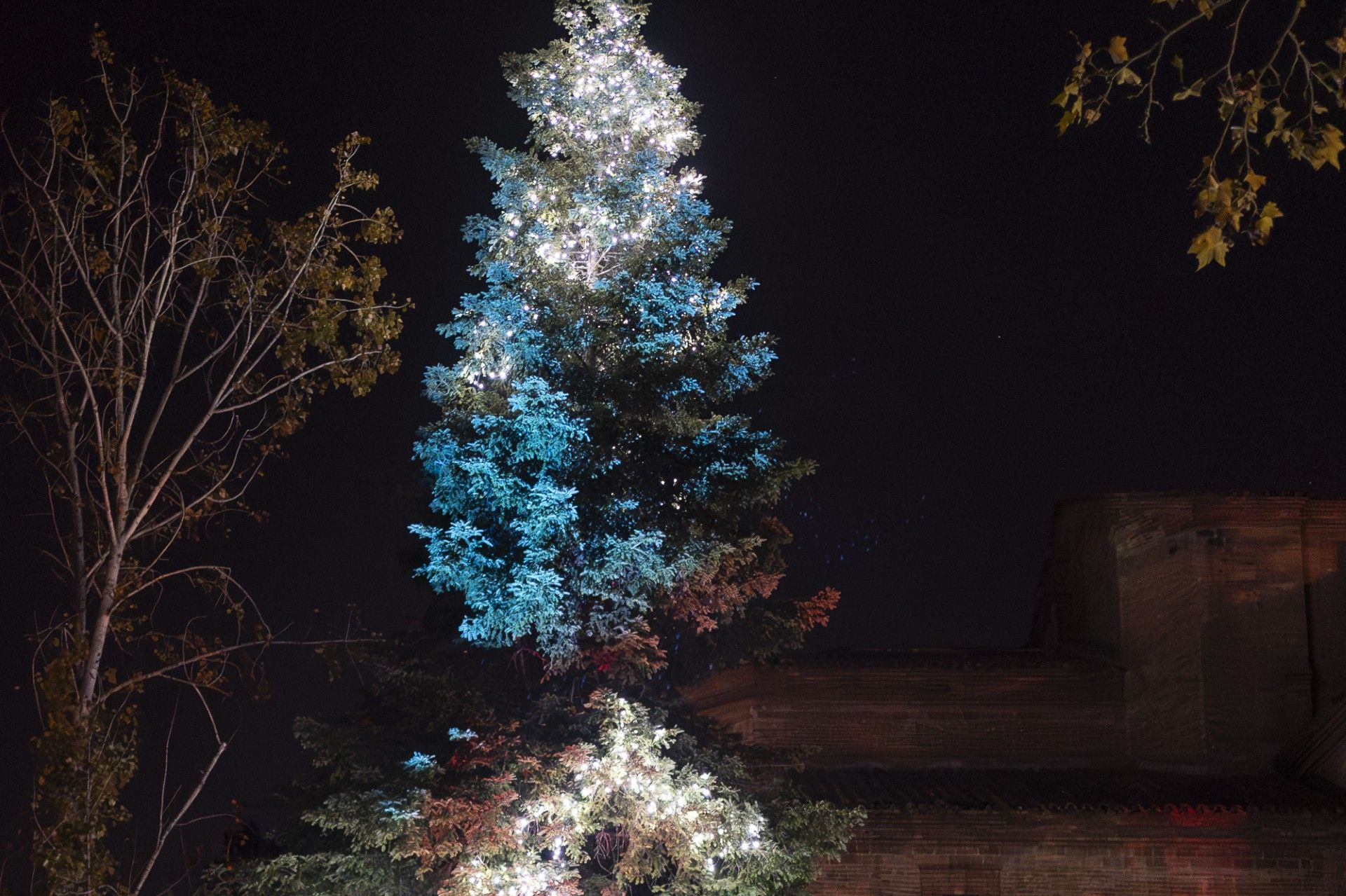 Encesa de llums de Nadal a Valldoreix 2025. FOTO: Mireia Comas (TOT Sant Cugat)