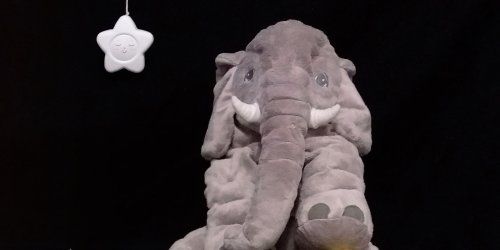 en bum i lestel dels desitjos