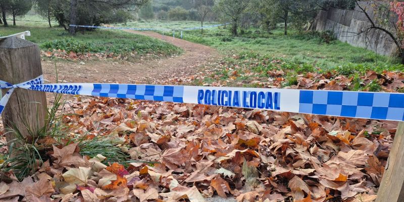 6772ac33 41f4 4c1a 81ac e97e6df3d430