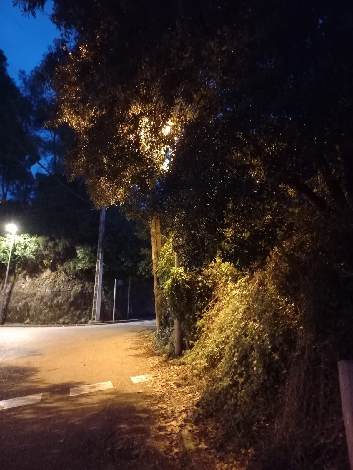 Parada real del bus L3 i L4. FOTO: Josefina Abella