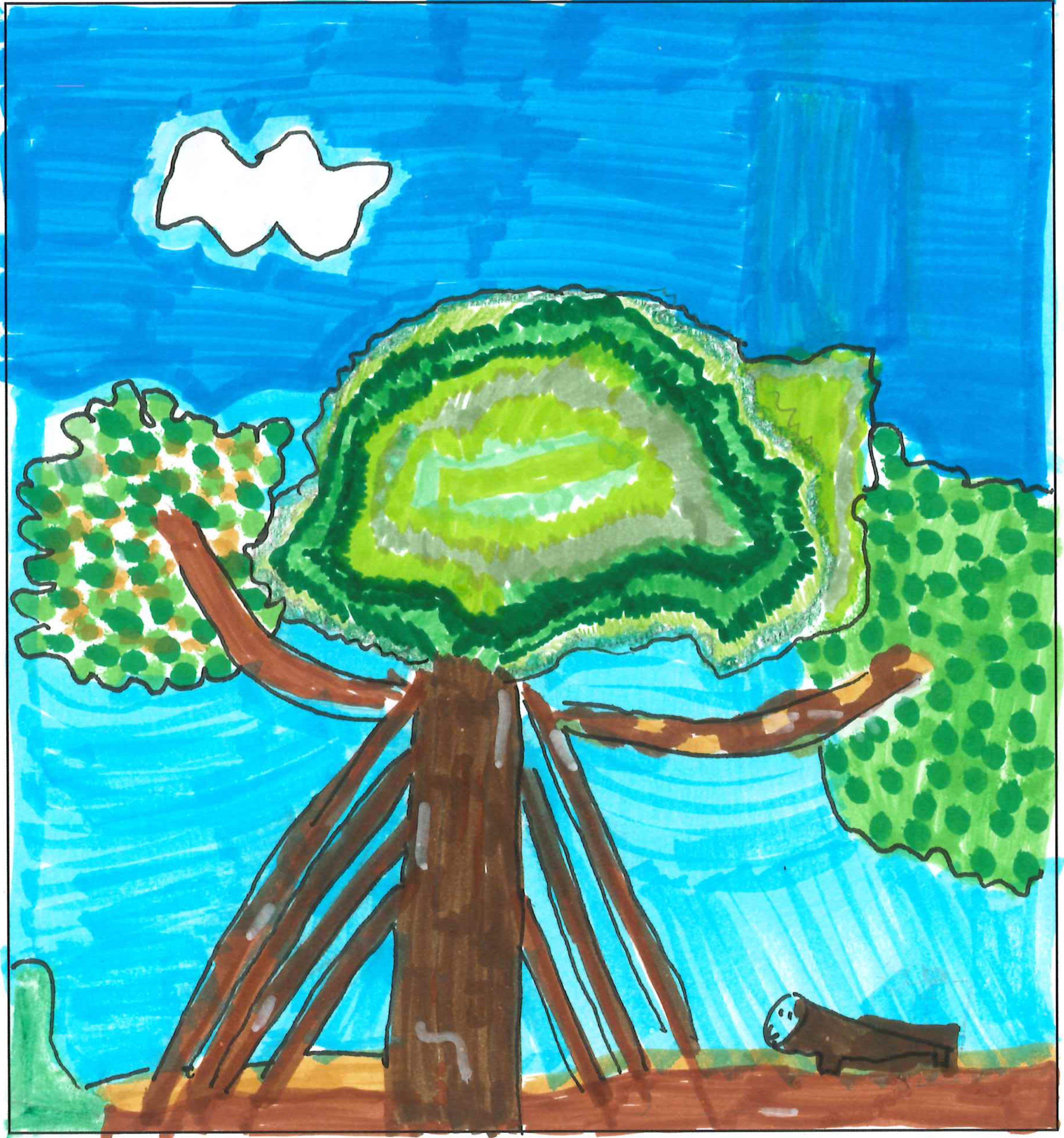 Postal d'Agora Sant Cugat International School del concurs del TOT Sant Cugat