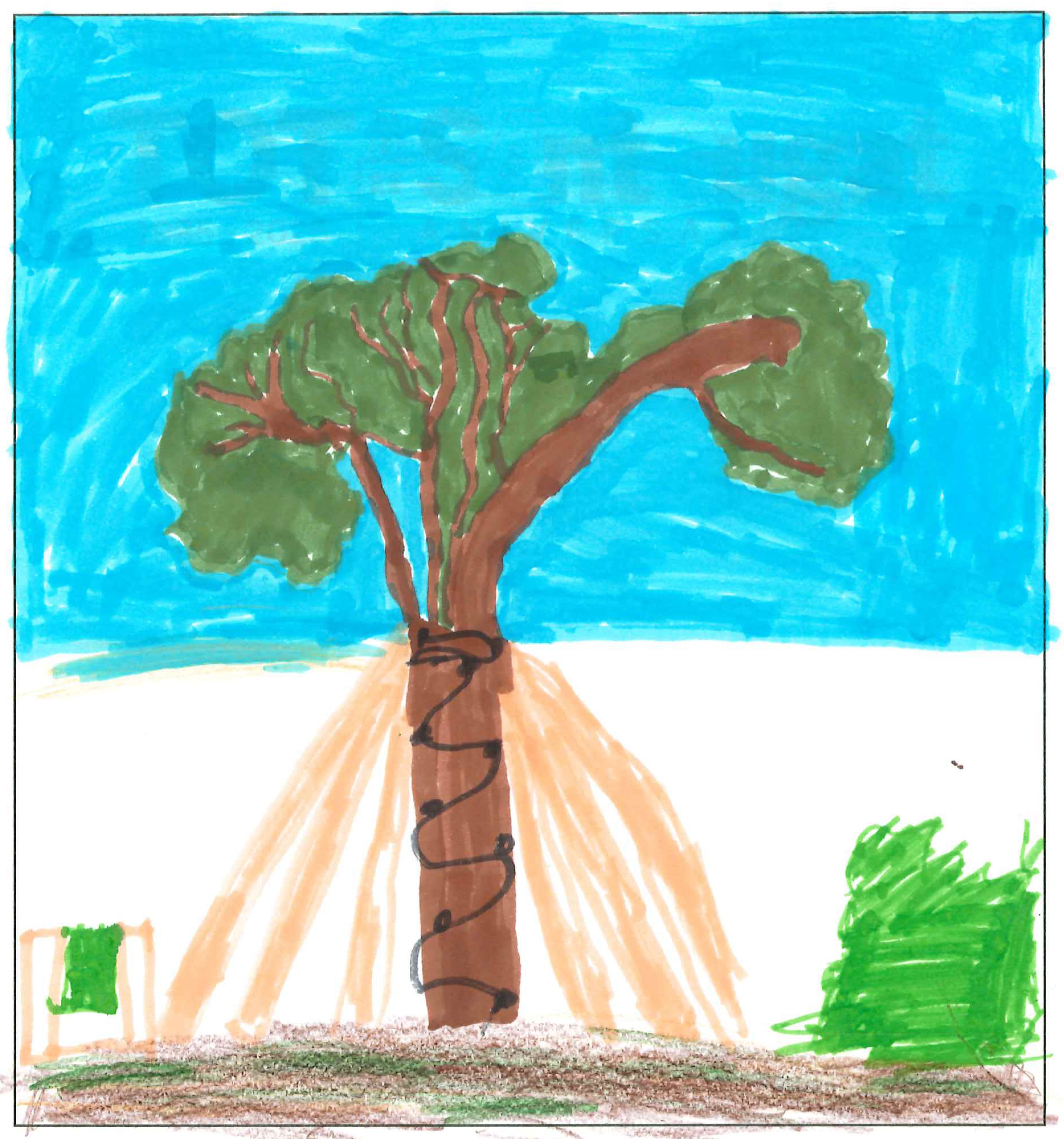 Postal de l’Escola Pi d'en Xandri del concurs del TOT Sant Cugat