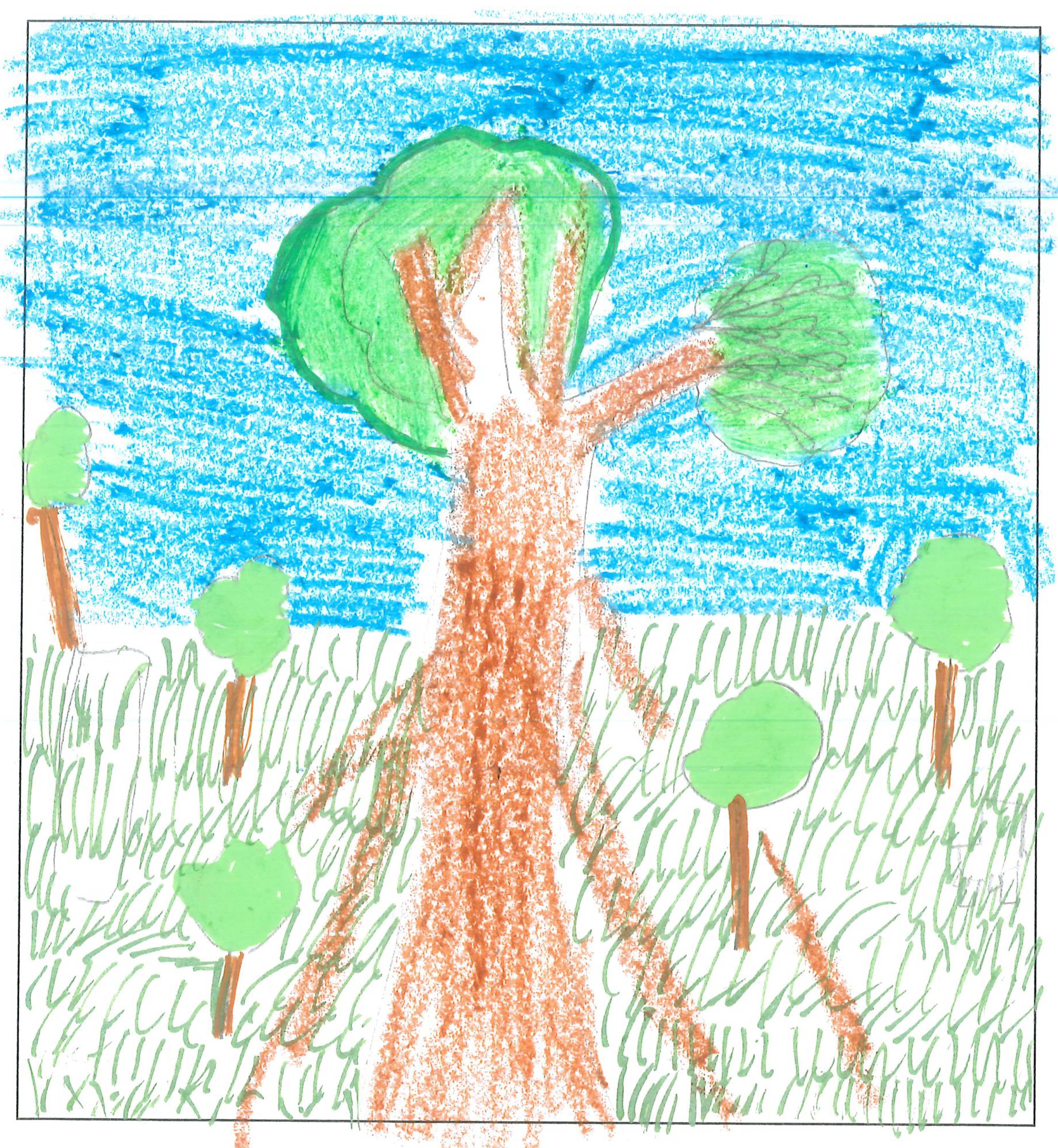 Postal de l’Escola Pins del Vallès del concurs del TOT Sant Cugat