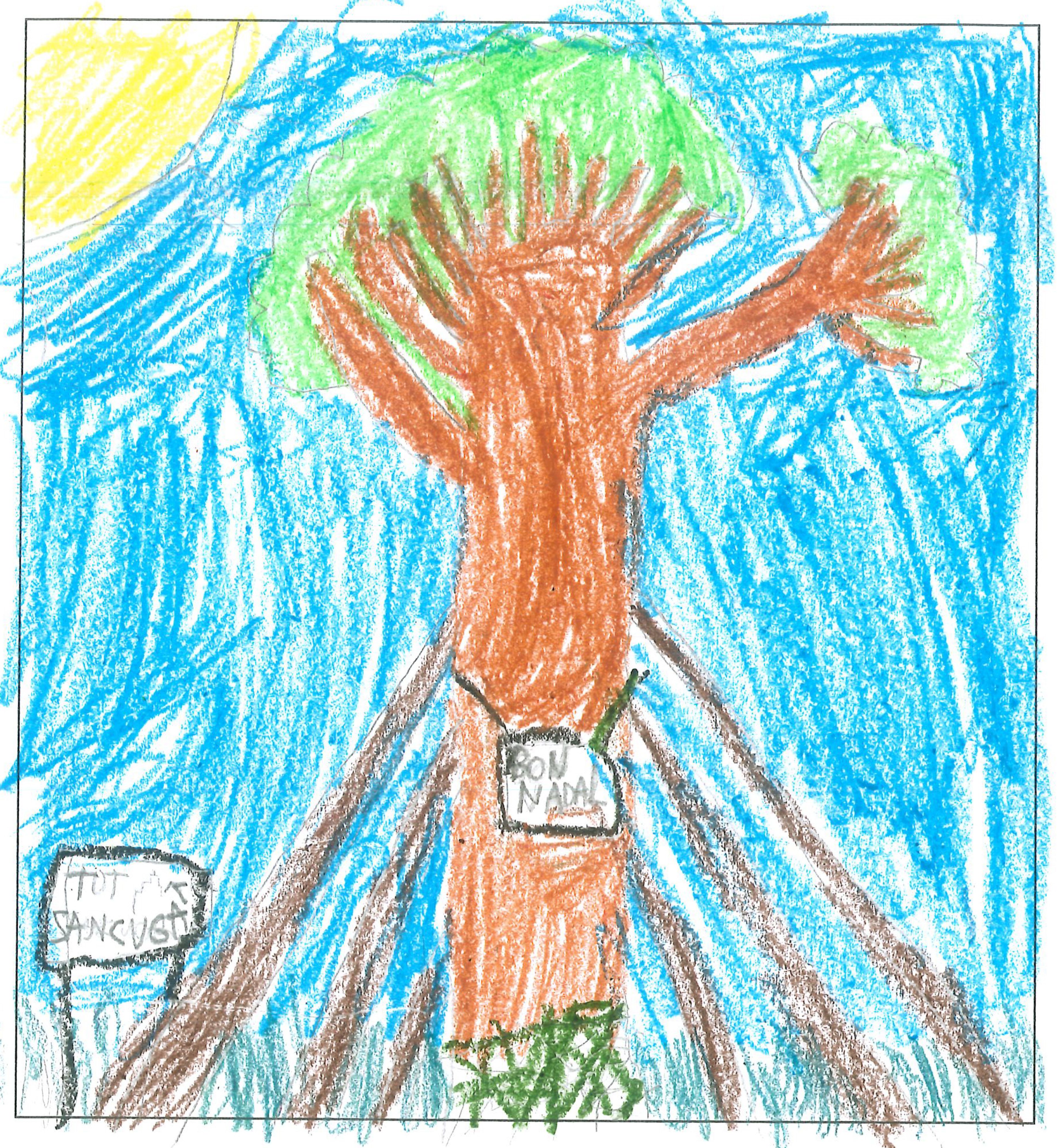 Postal de l’Escola Pins del Vallès del concurs del TOT Sant Cugat