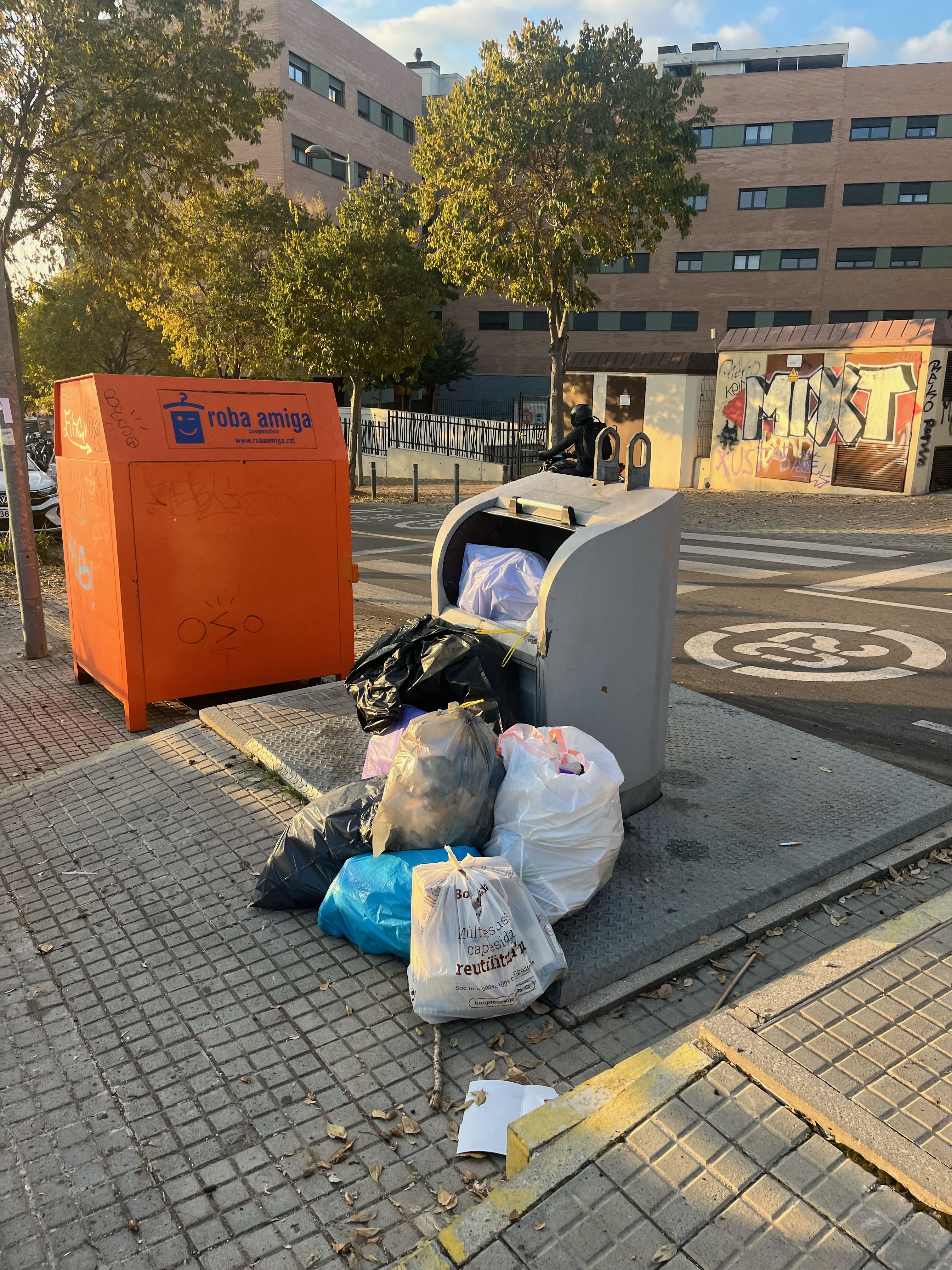 La brossa dels contenidors. FOTO: Patricia Bernal