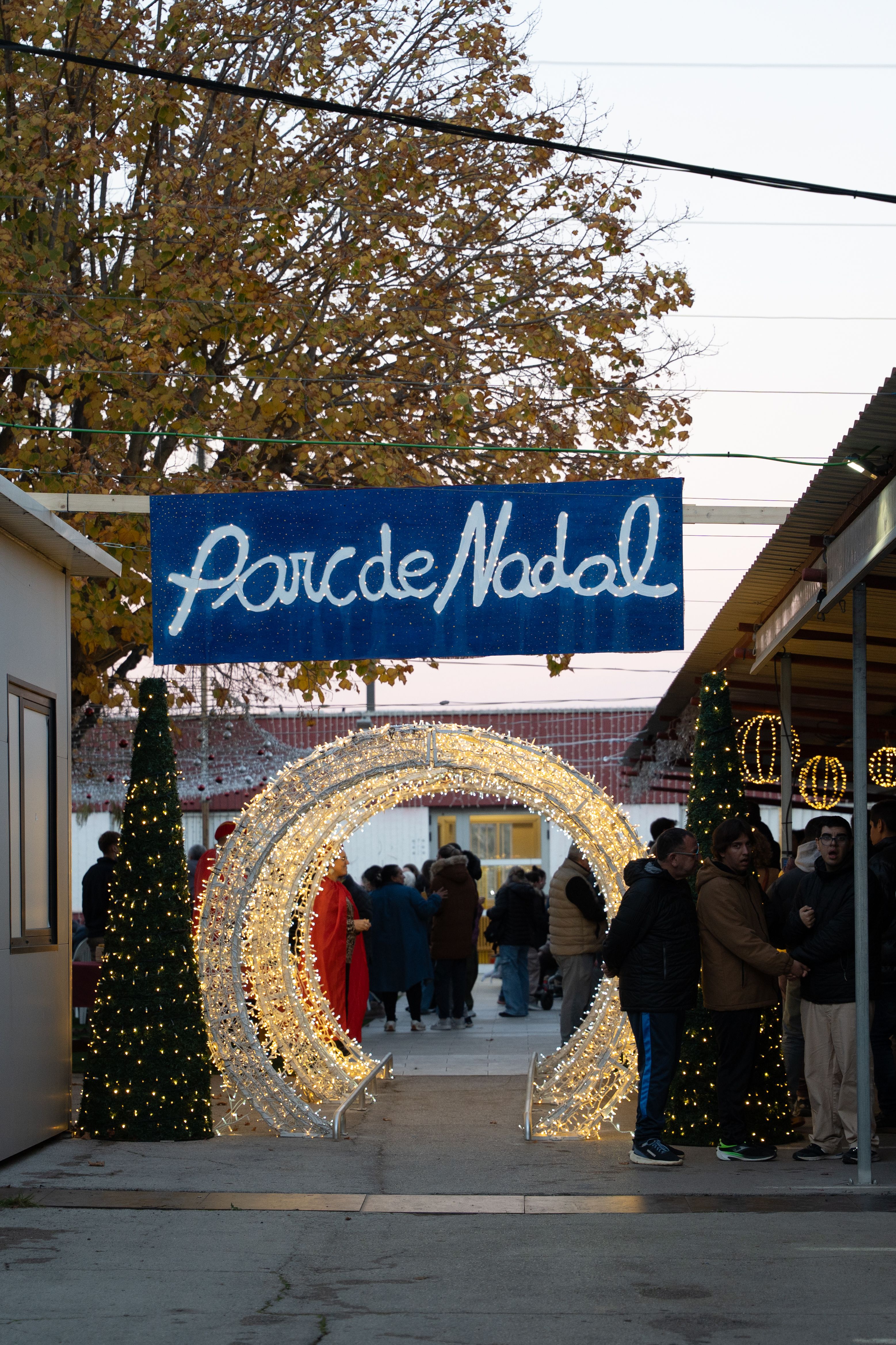  Encesa de llums de Nadal a Catalònia Fundació Creactiva 2025. Carme de Olazábal