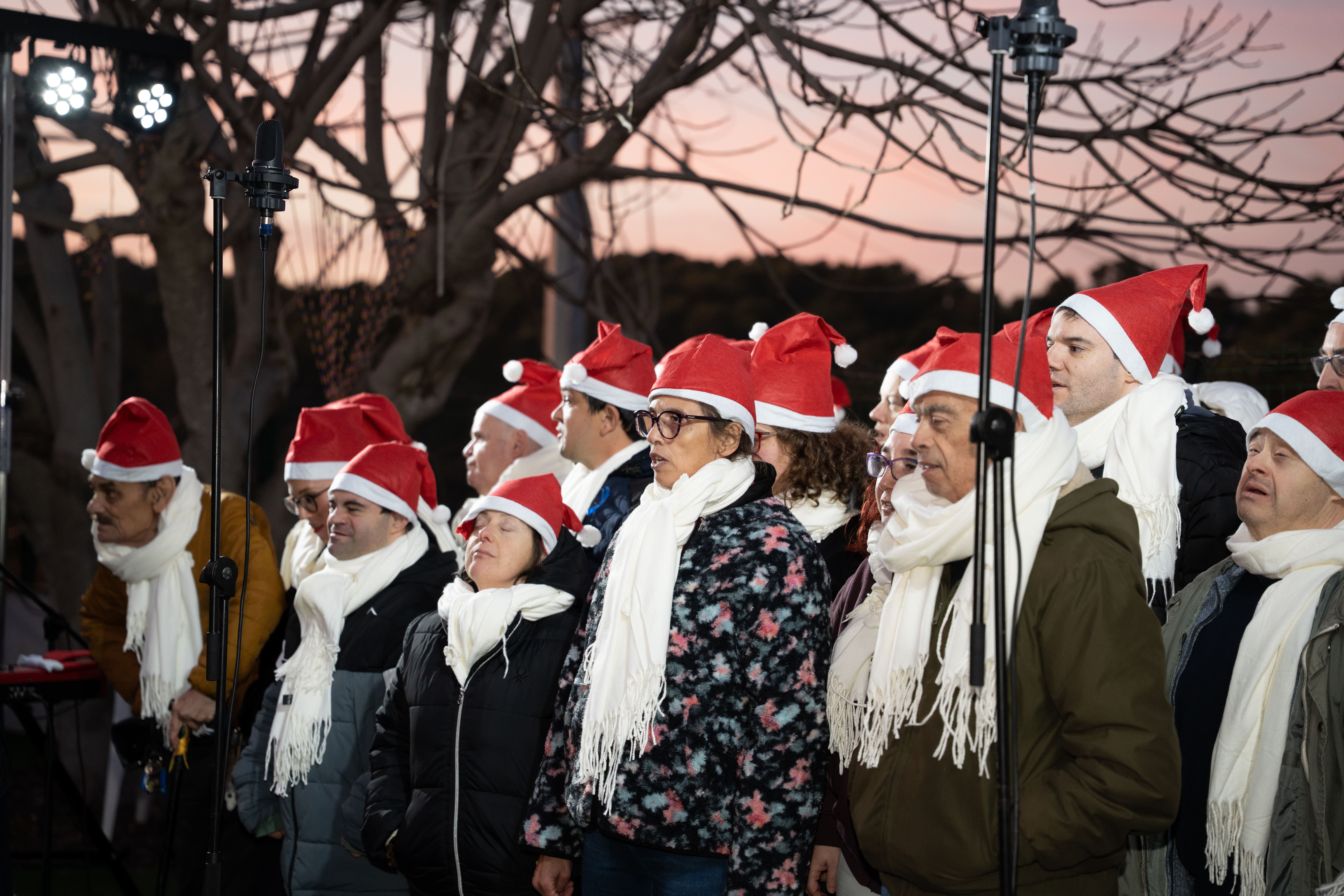  Encesa de llums de Nadal a Catalònia Fundació Creactiva 2025. Carme de Olazábal