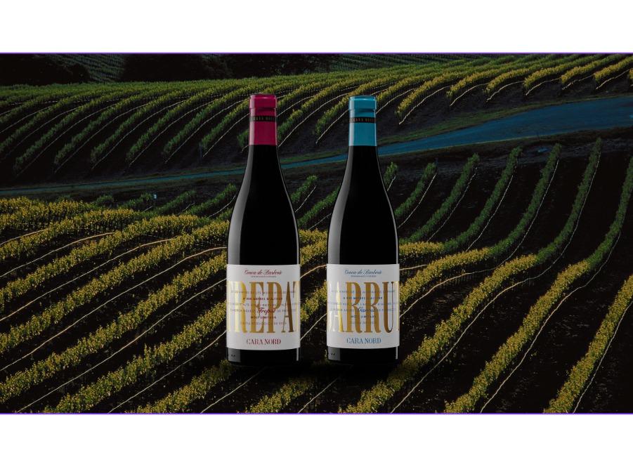 El lot es compon pel Cara Nord Trepat i pel cara Nord Garrut FOTO: Cedida