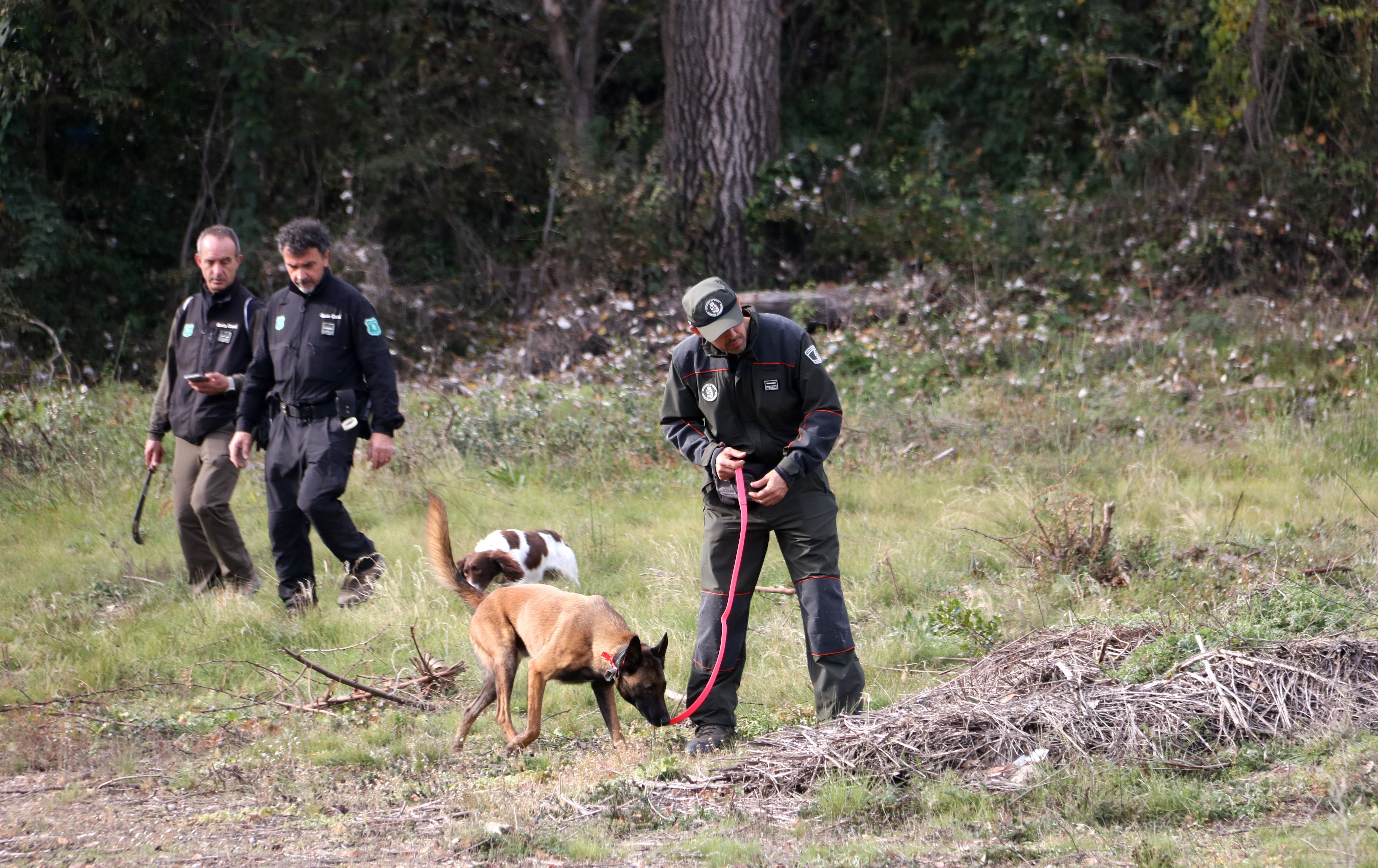 Agents Rurals amb companys d'altres territoris pentinen amb gossos una zona de camp propera a Sabadell FOTO: ACN/Pau Cortina