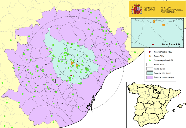 Captura de Pantalla 2025 12 20 a les 23.19.02