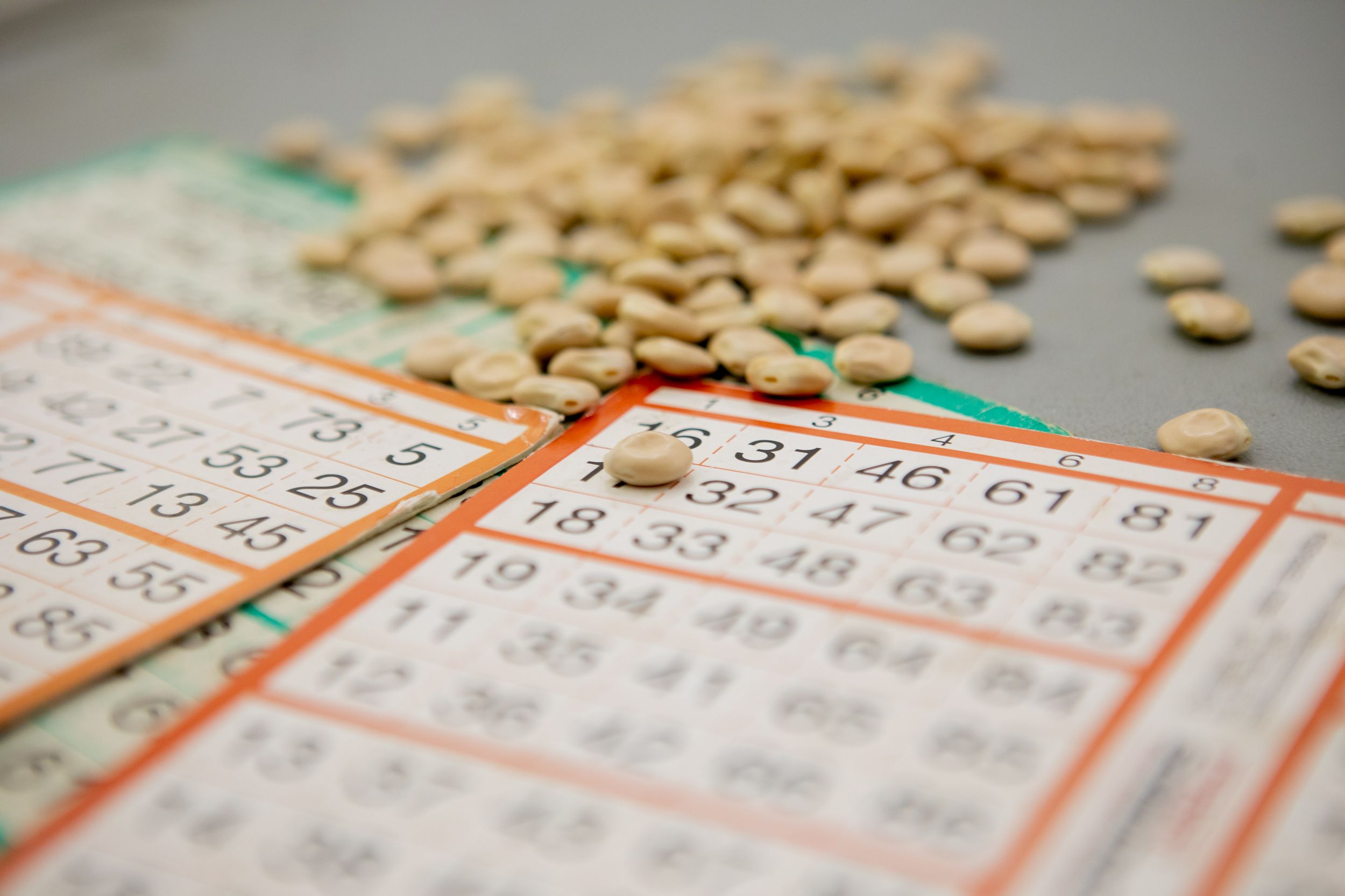 Quinto de Nadal de Cal Temerari. FOTO: Joana Arribas (TOT Sant Cugat)