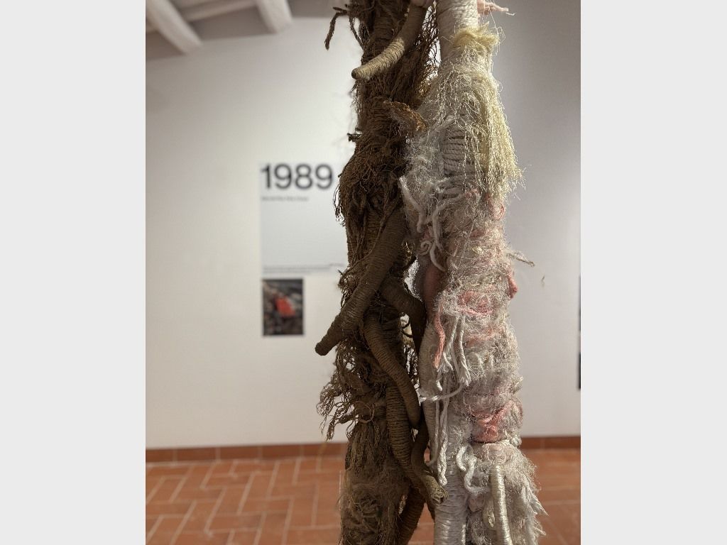 exposicio josep grau garriga tot els environaments del mon detall 2