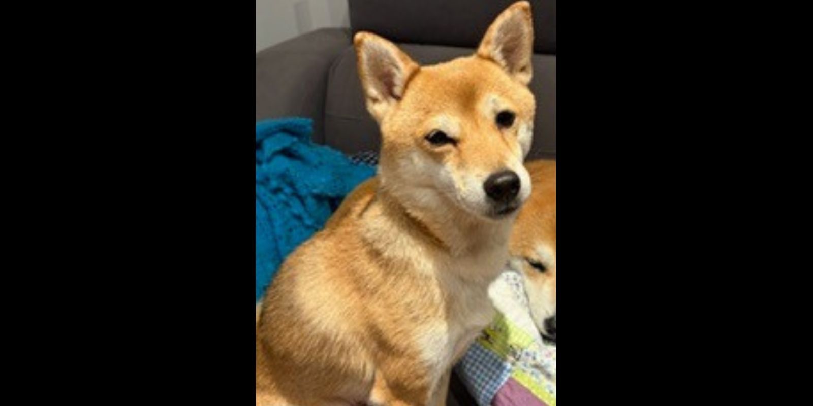 La Reika FOTO: Cedida