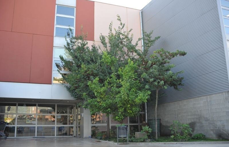 Escola Gerbert d'Orlhac