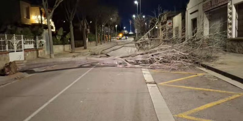 632520311 18555880861026042 64428508099958883 n